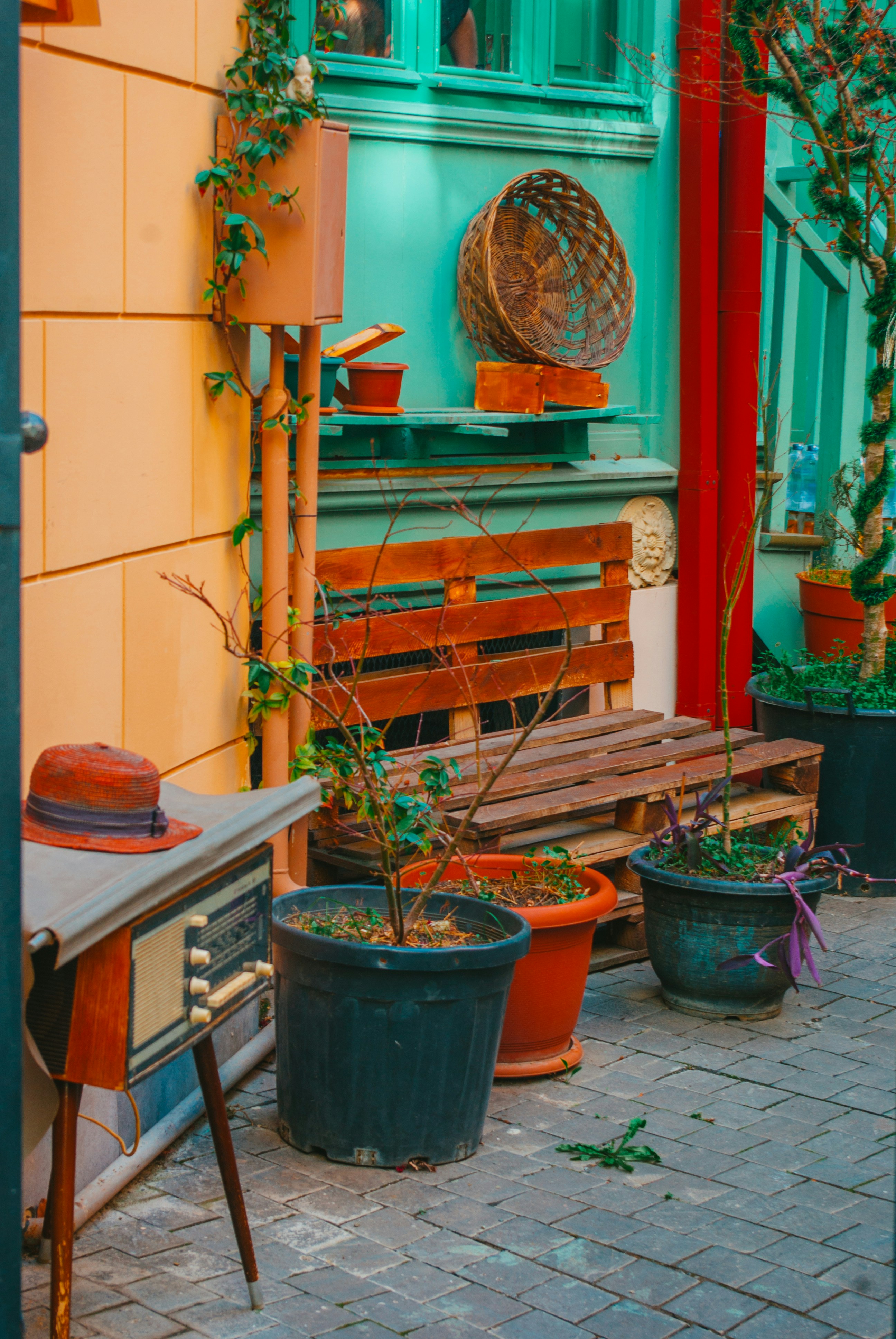 Photo by moonmoons_days