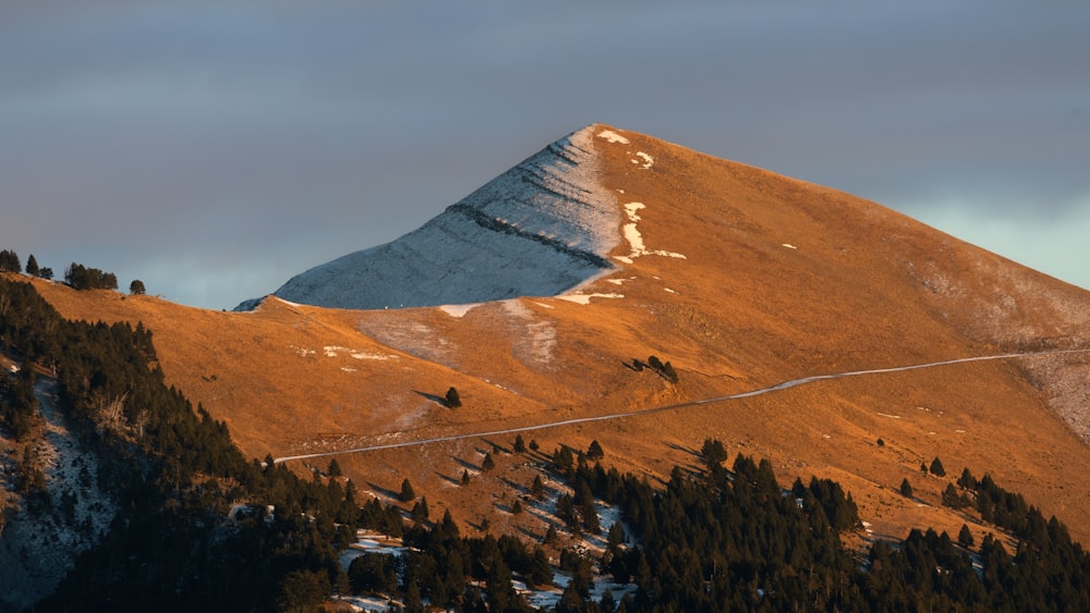 a snow covered mountain with trees on the side