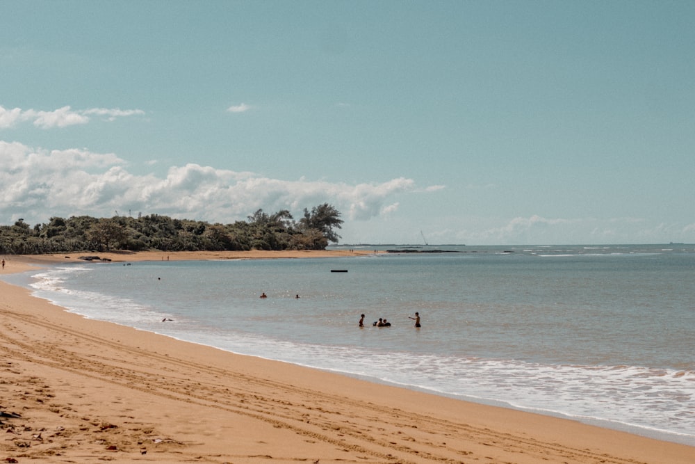 a sandy beach with people swimming in the water