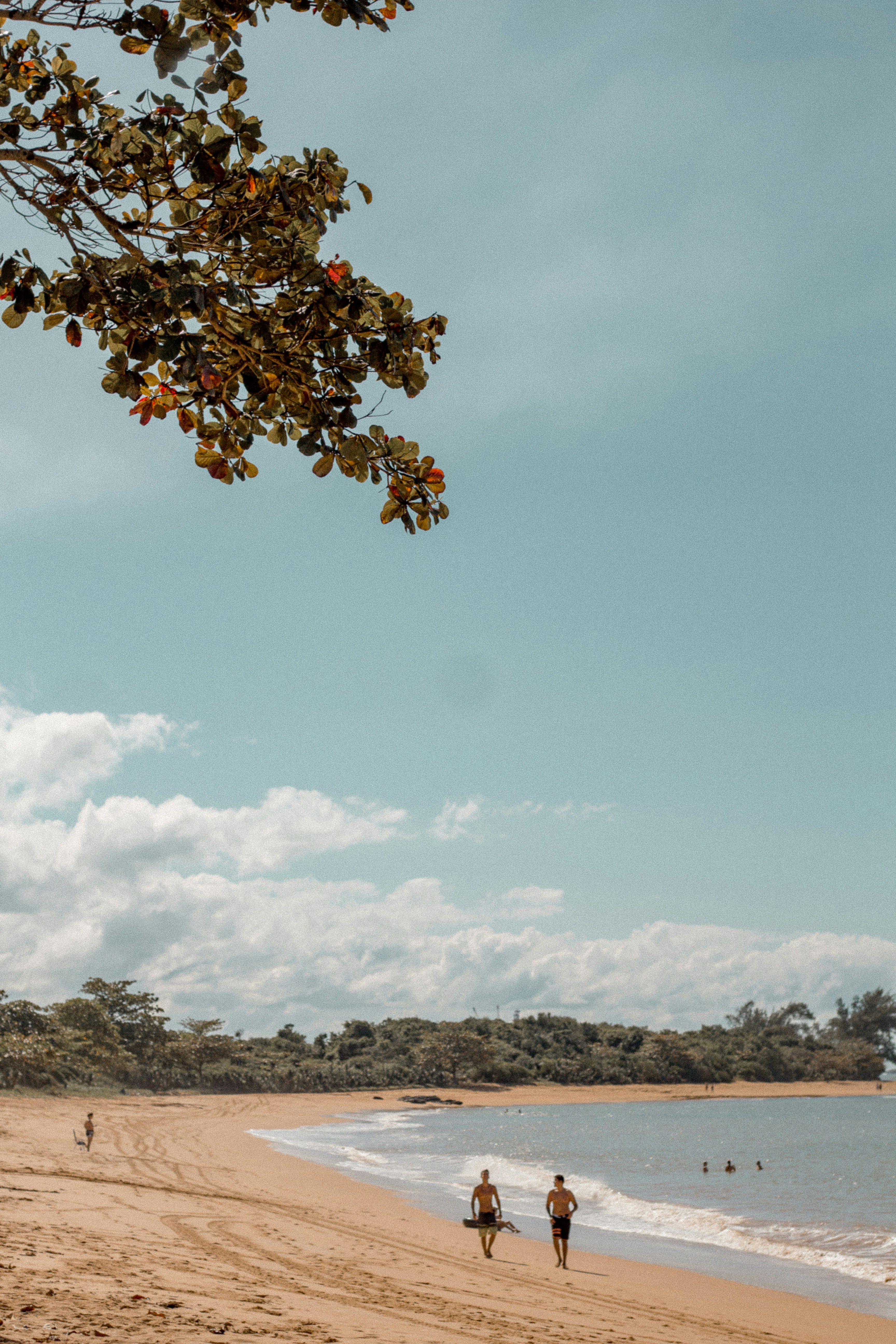 Photo by igorxcorrea