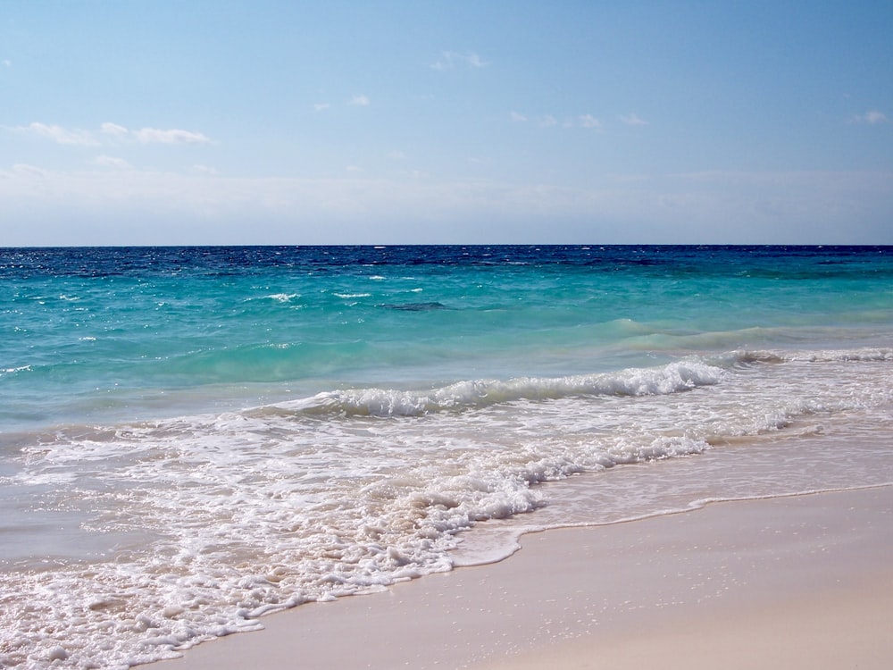 uma praia de areia com uma onda entrando na costa