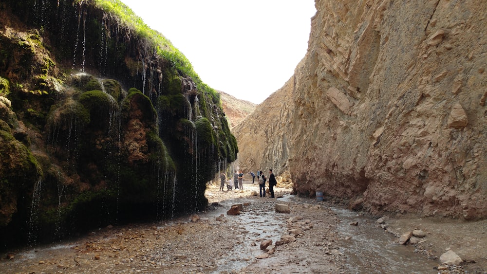 a group of people standing next to a waterfall