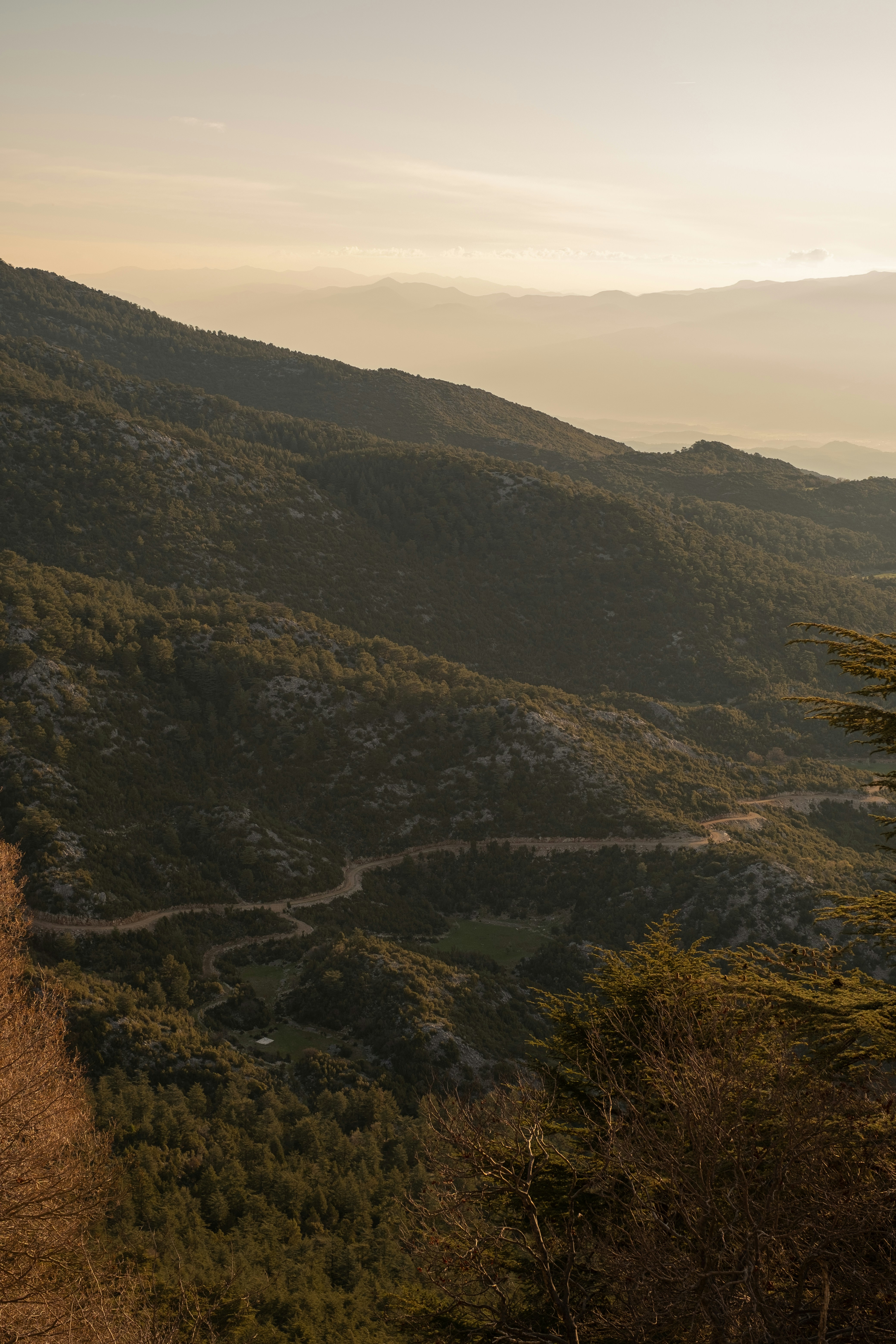 Photo by bilalfurkankosar