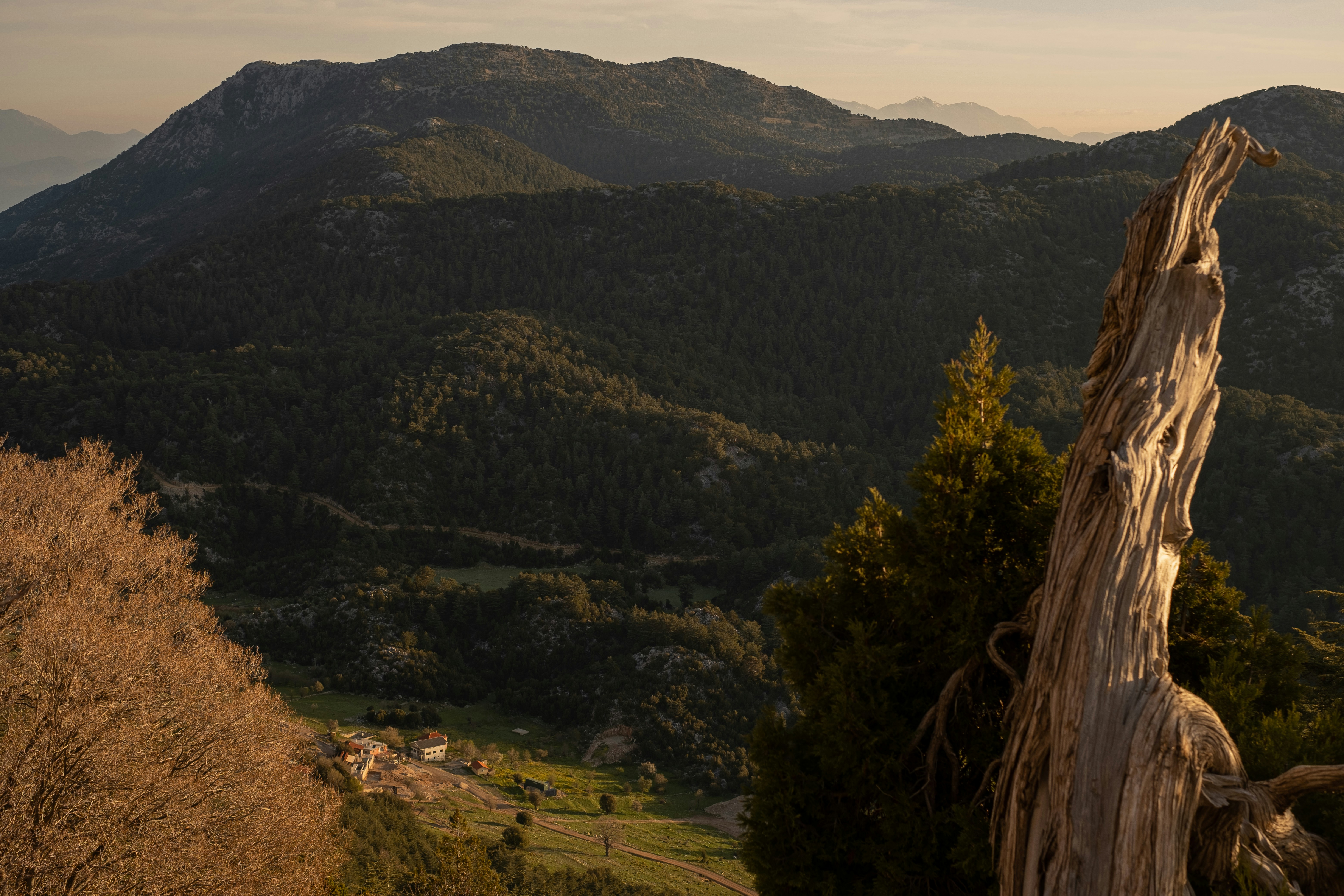 Photo by bilalfurkankosar