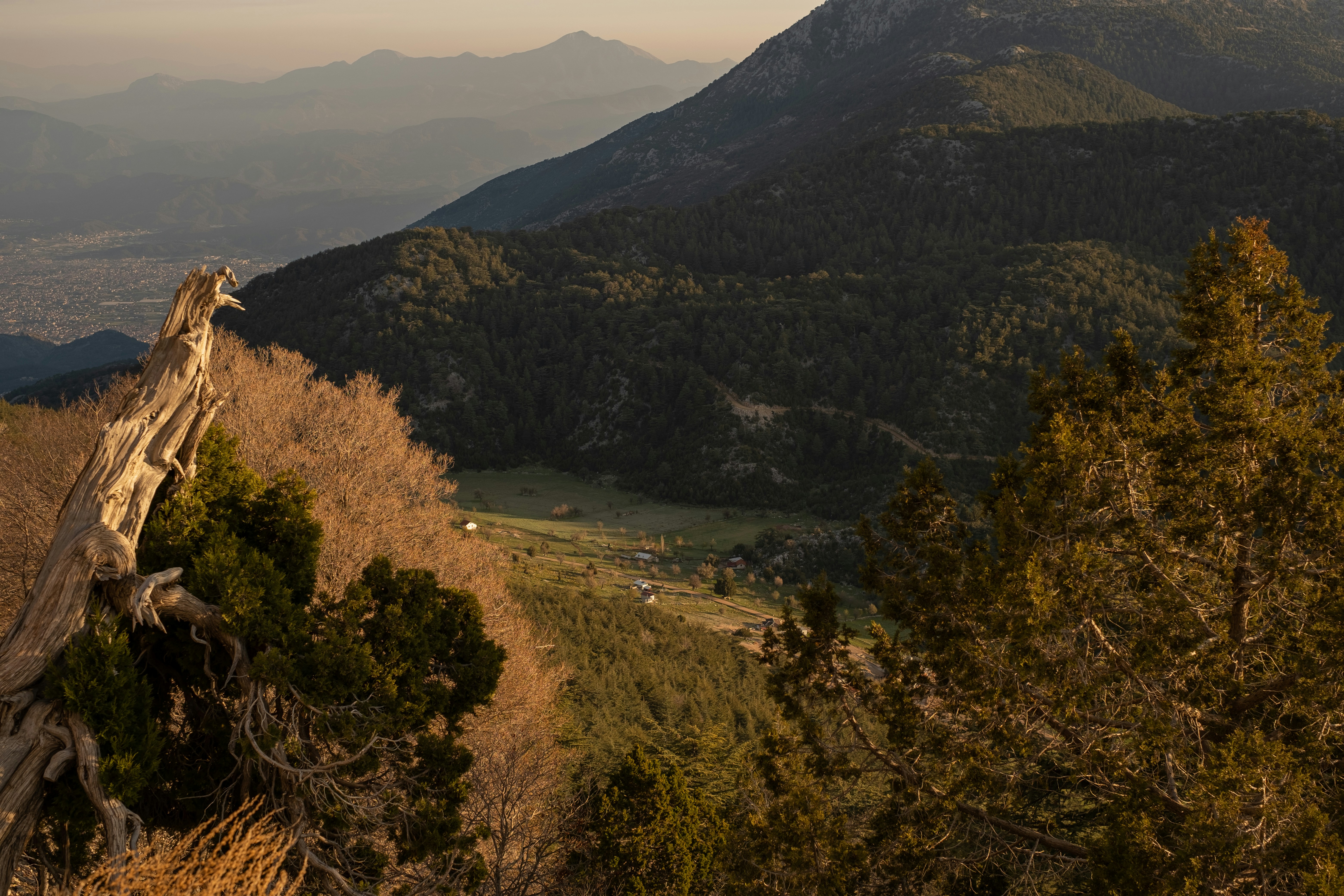 Photo by bilalfurkankosar