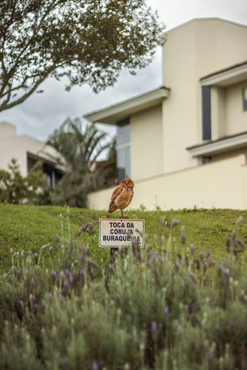 a sign in front of a building with a bird on it