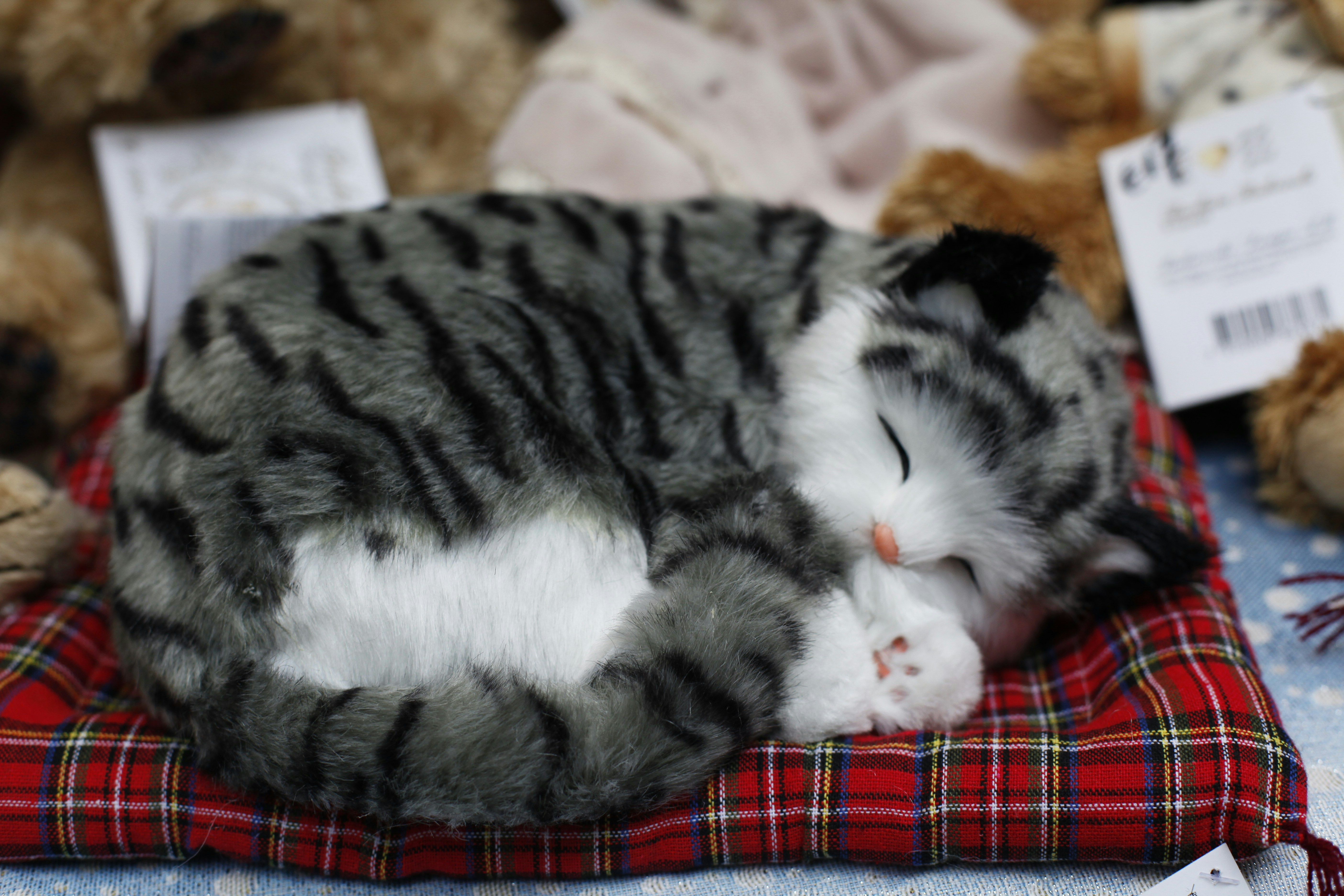 Body Curled in Sleep (image credits: unsplash)