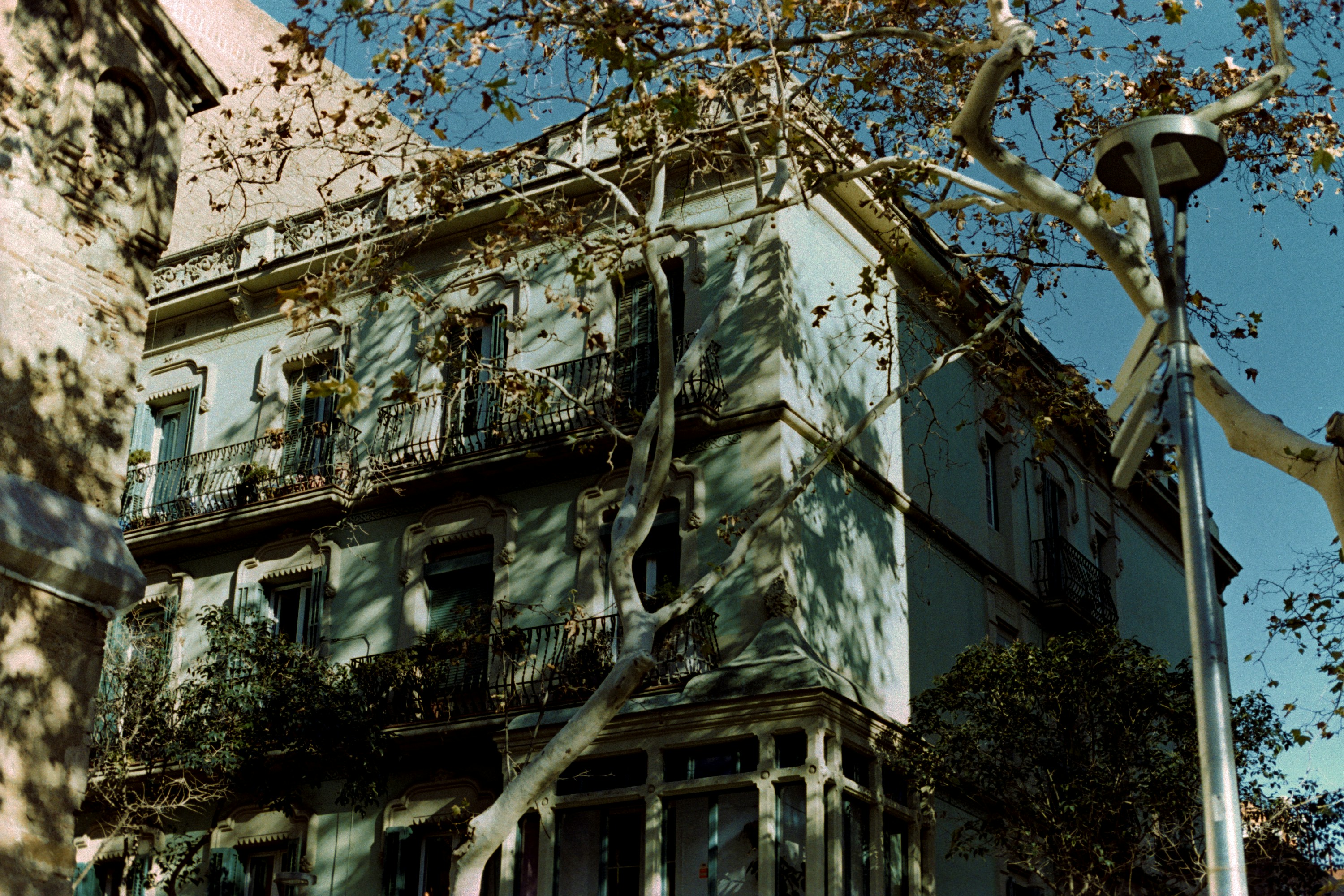 Photo by ohjavz