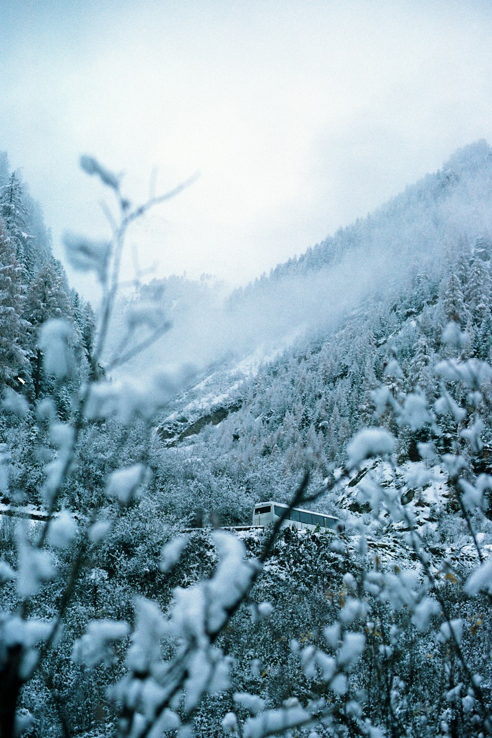 a view of a snowy mountain with trees in the foreground