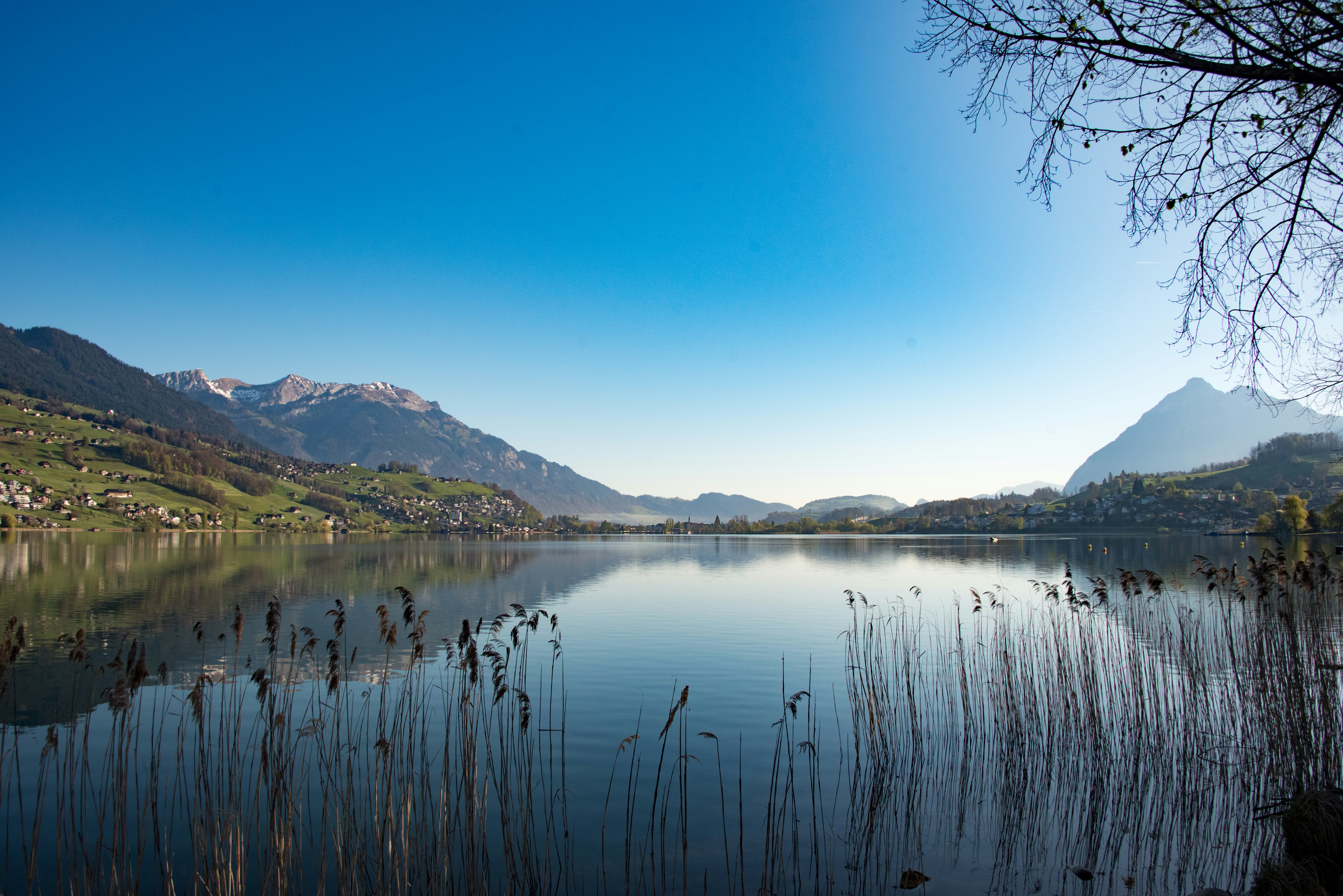 Photo by loriane_photography