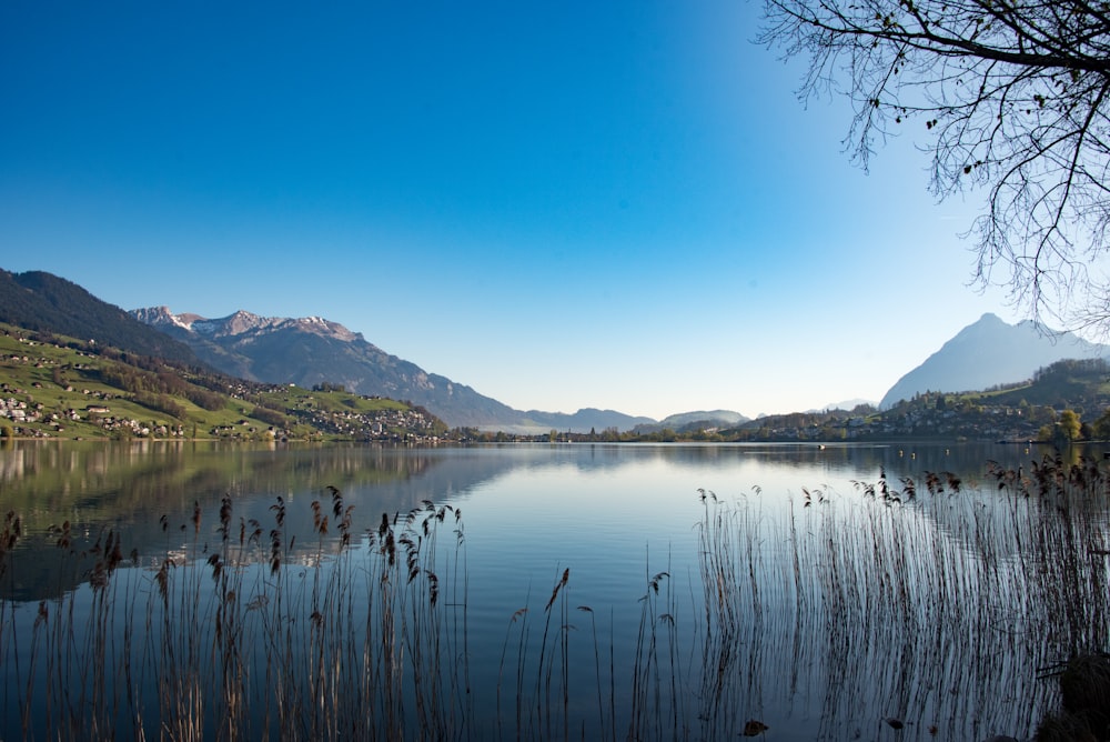 a body of water surrounded by mountains and grass