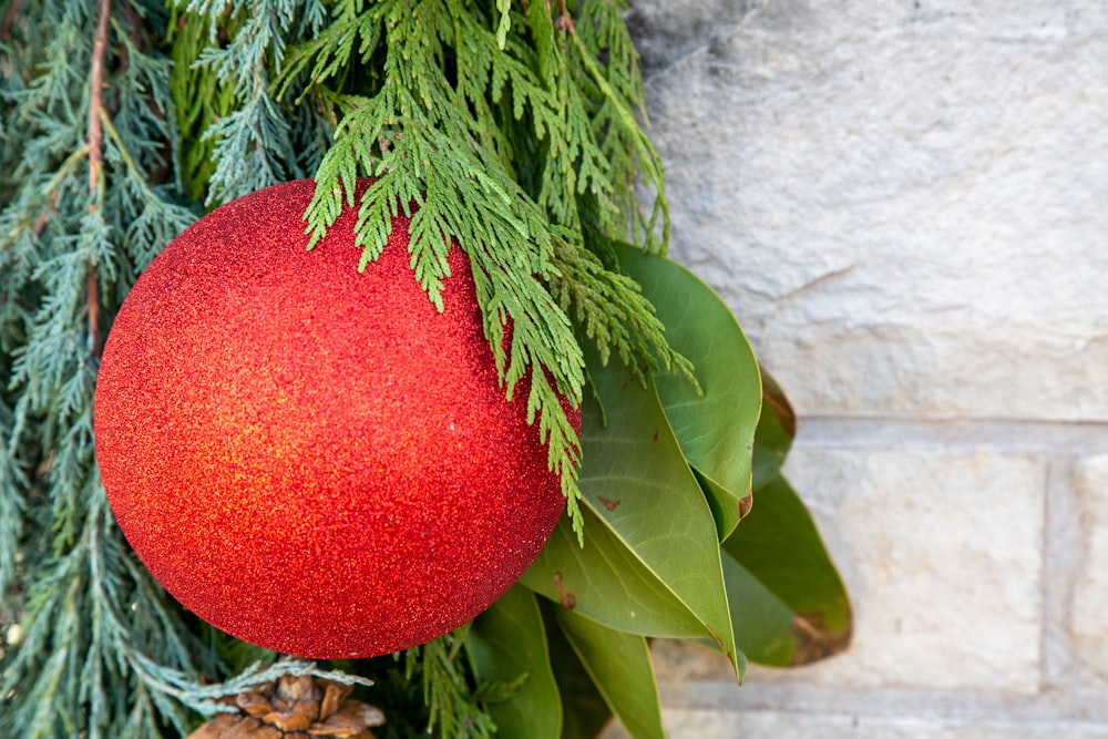 a red ornament hanging from a tree