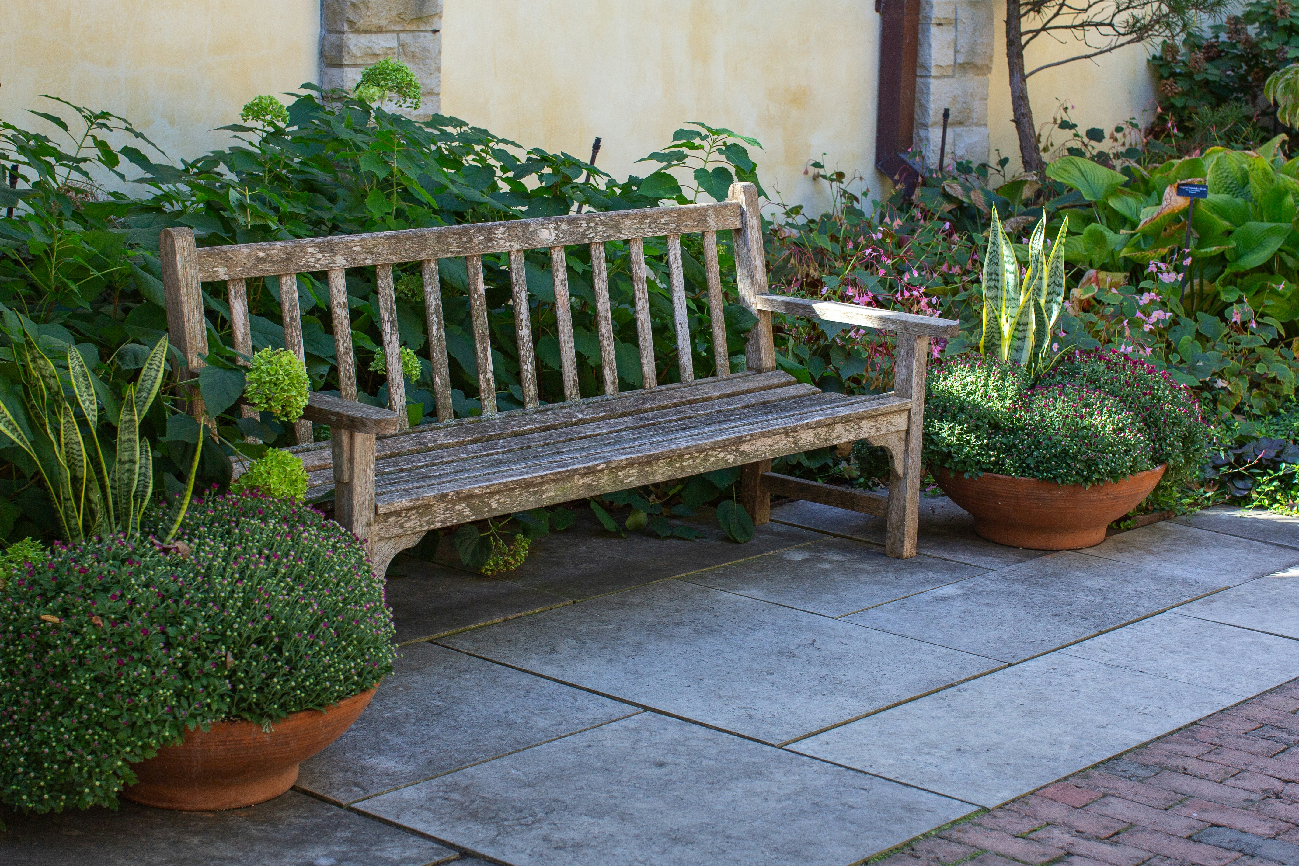 photo 1704574321293 852a09adac3c?crop=entropy&cs=tinysrgb&fit=max&fm=jpg&ixid=M3w1MjQ0NjR8MHwxfHNlYXJjaHw2fHxQZWFjZWZ1bCUyMGdhcmRlbnxlbnwwfDB8fHwxNzQyNzcyNDU3fDA&ixlib=rb 4.0