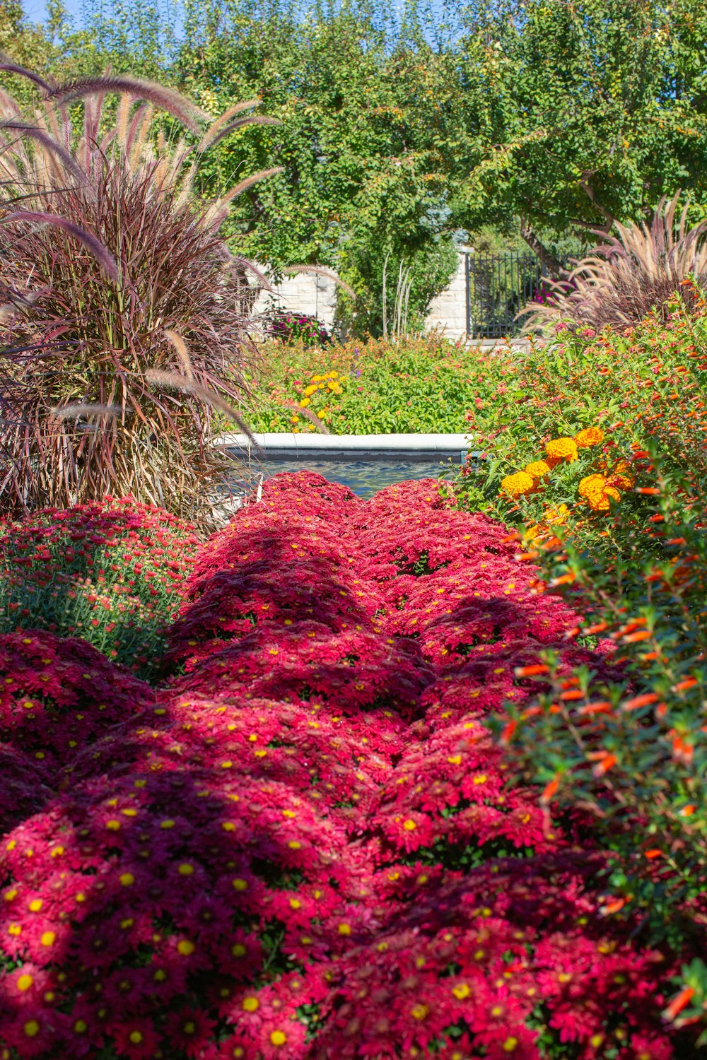 a garden filled with lots of colorful flowers