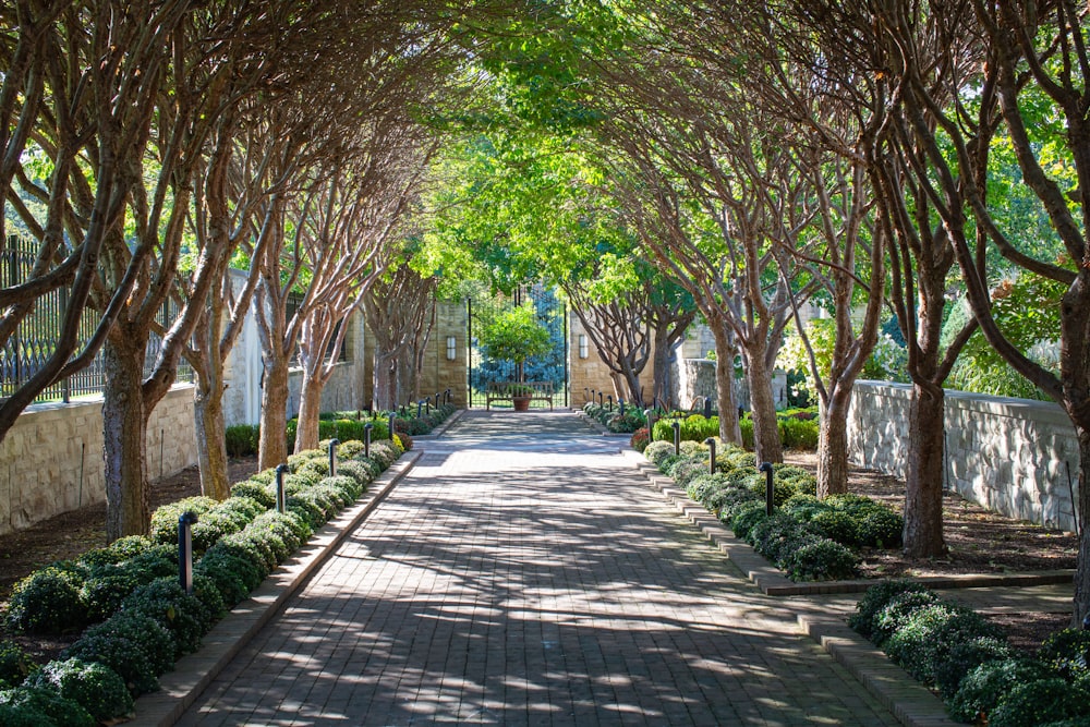 a walkway lined with trees and bushes next to a stone wall