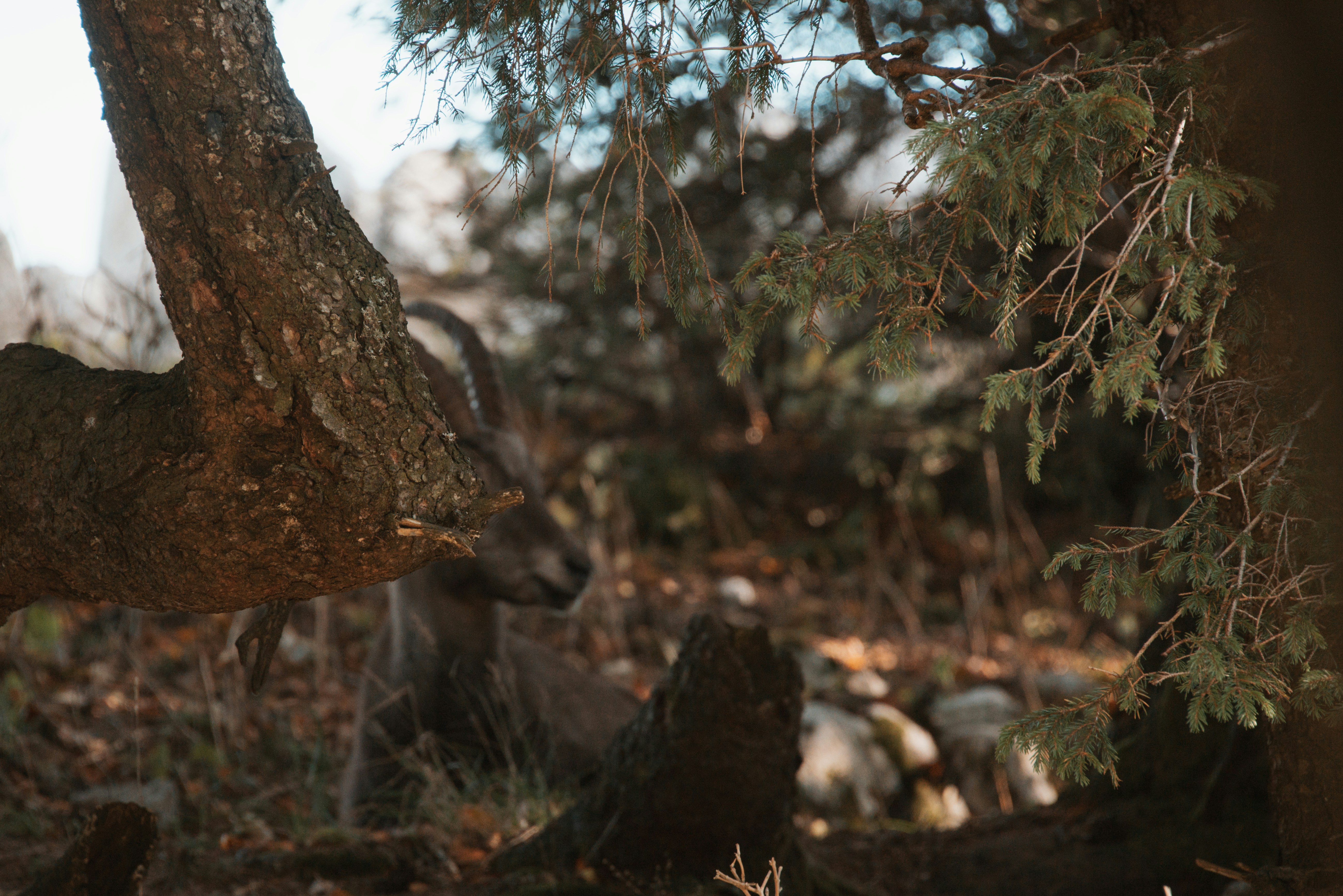 Photo by loriane_photography