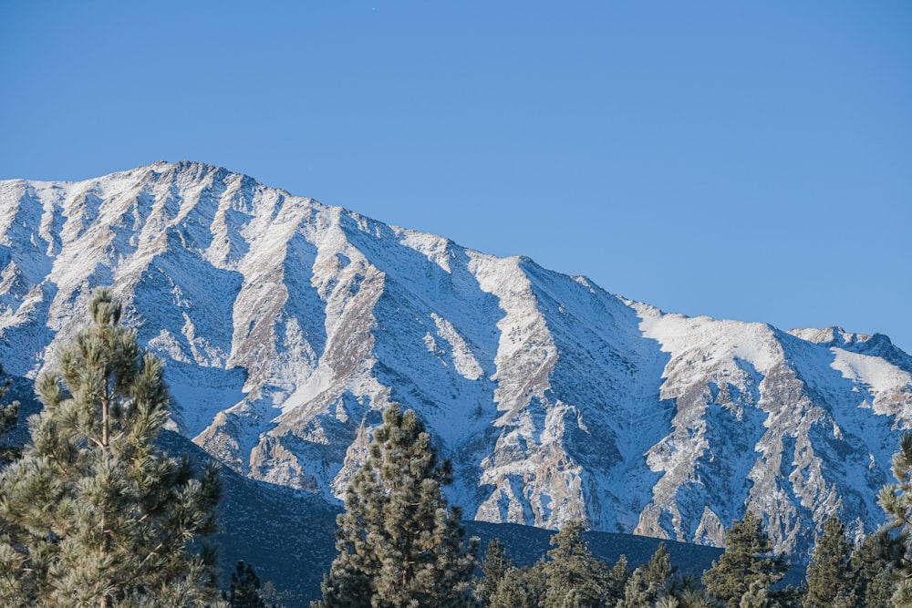 a snow covered mountain with trees in the foreground