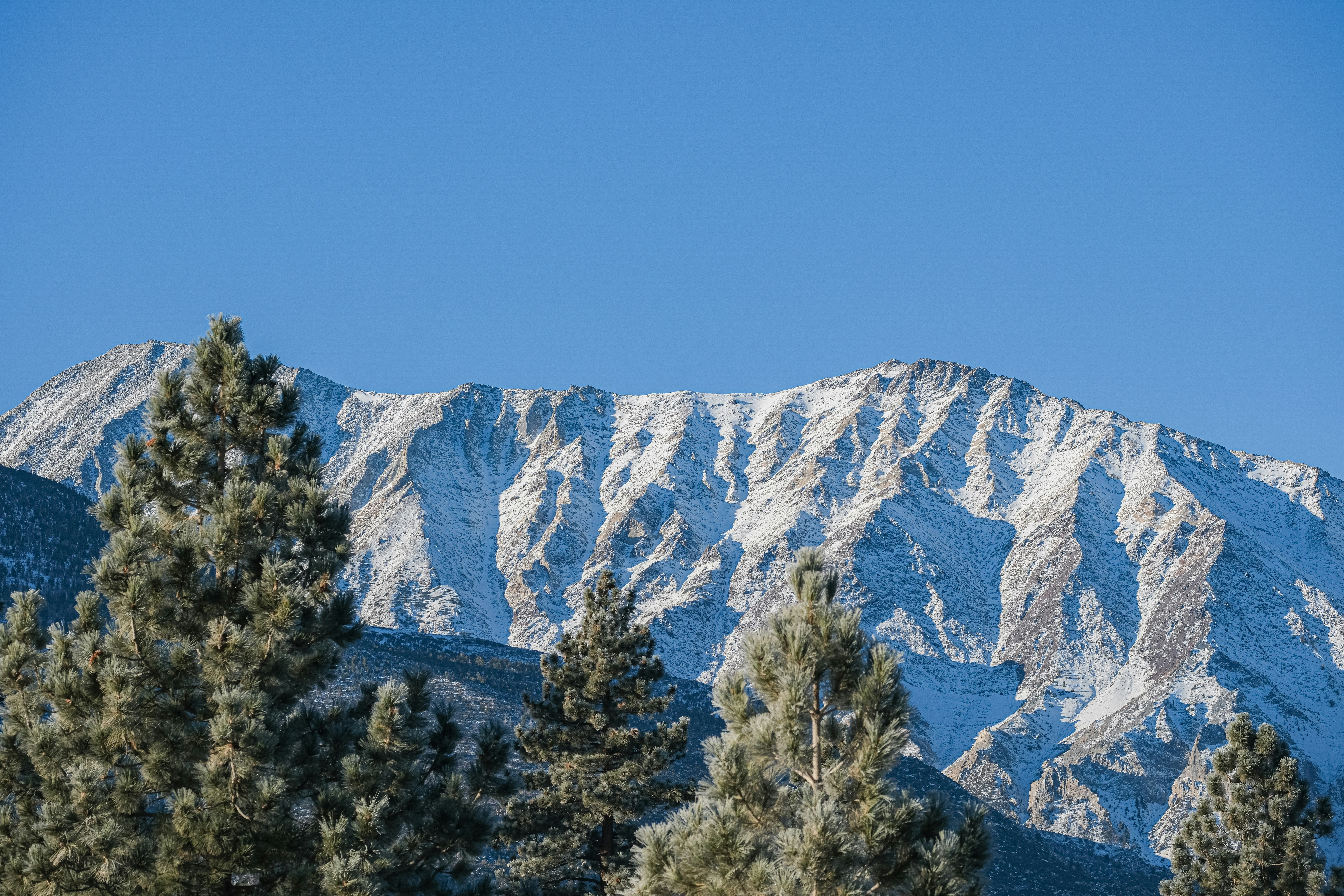 Photo by cestmoisheedy