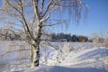 a snow covered field with a tree in the foreground