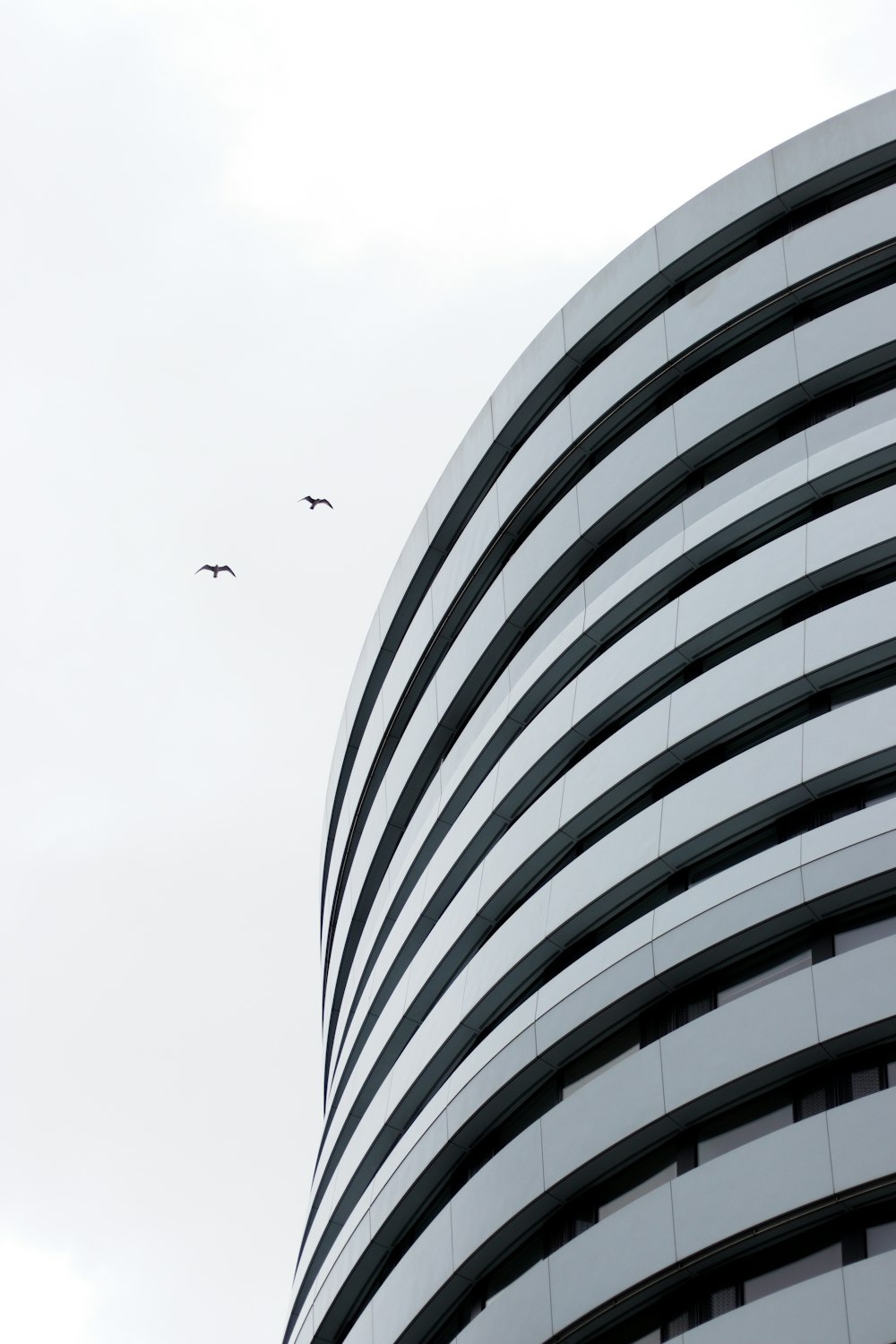 two birds flying in the sky over a building