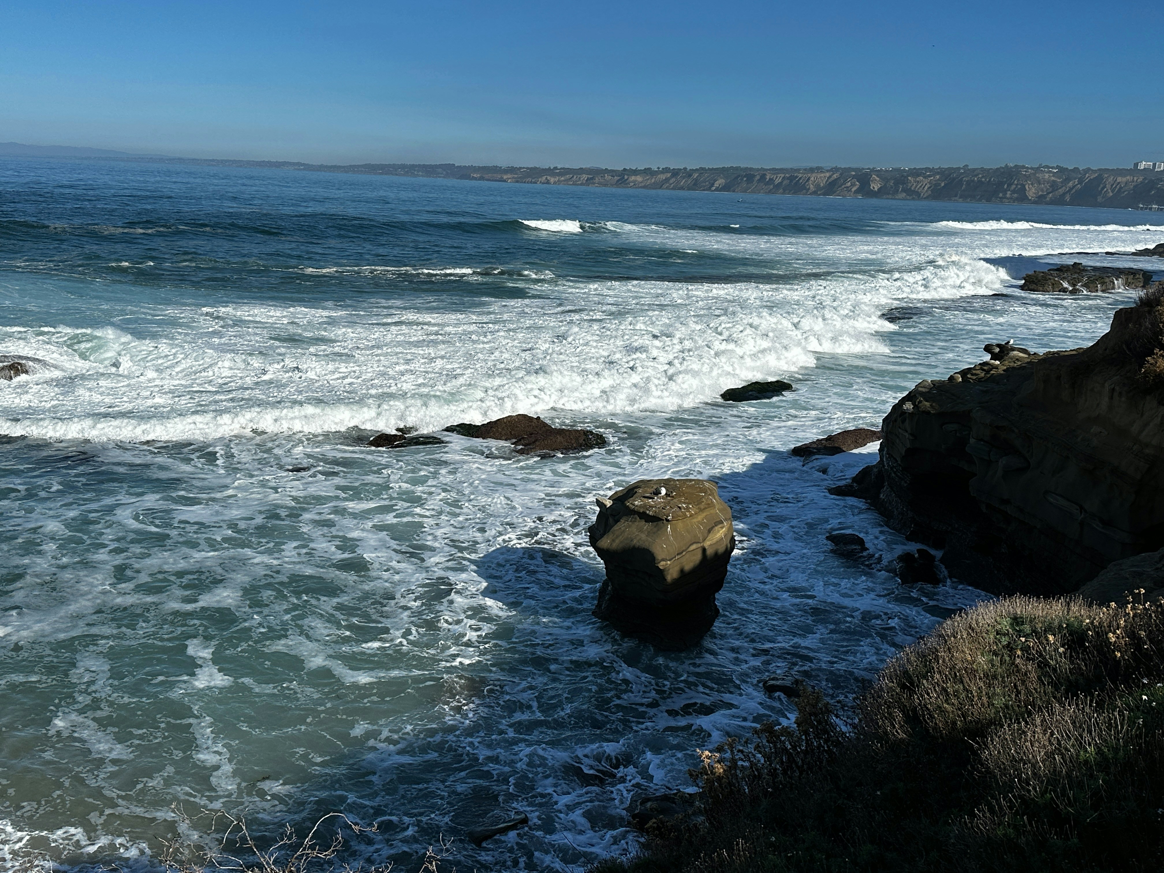 Photo by jameschrisa