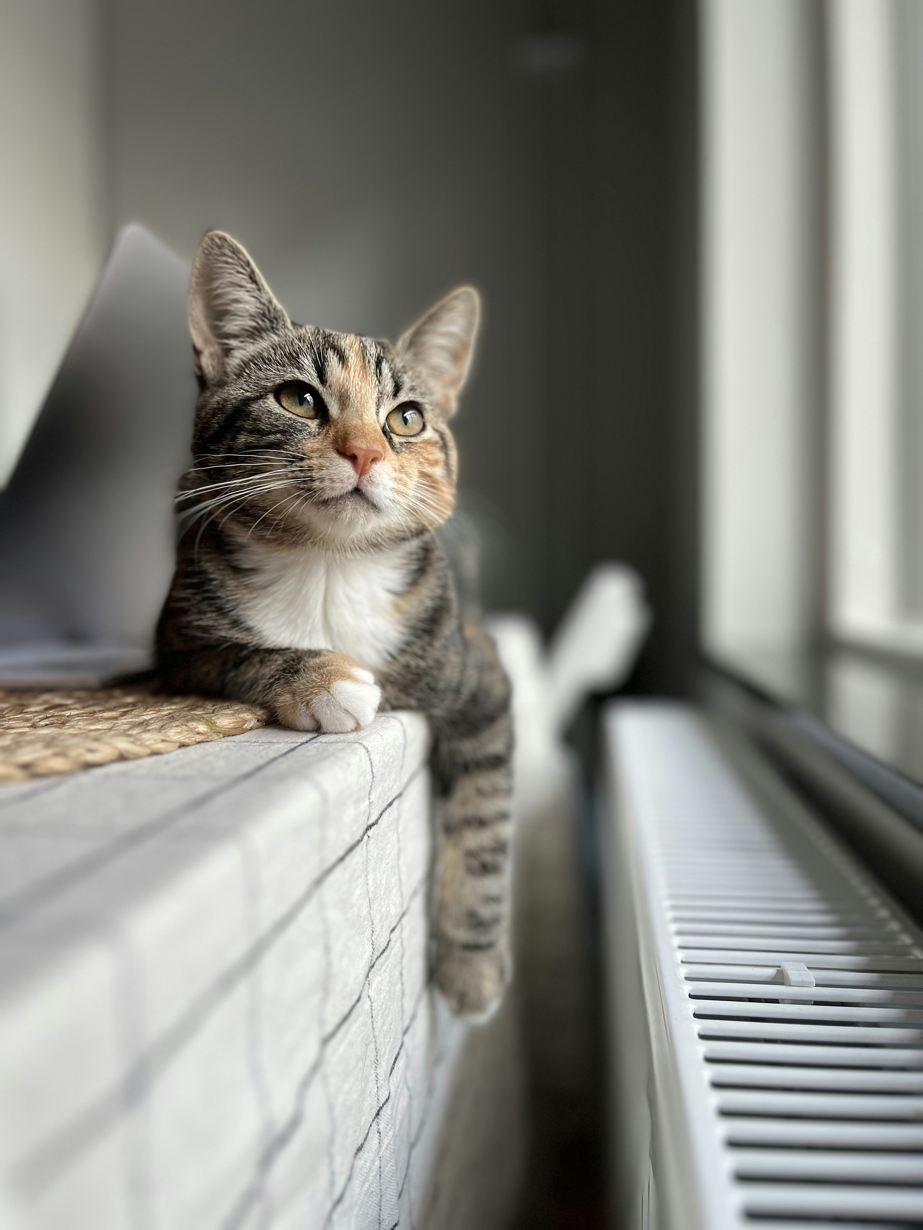 When to Be Concerned (image credits: unsplash)