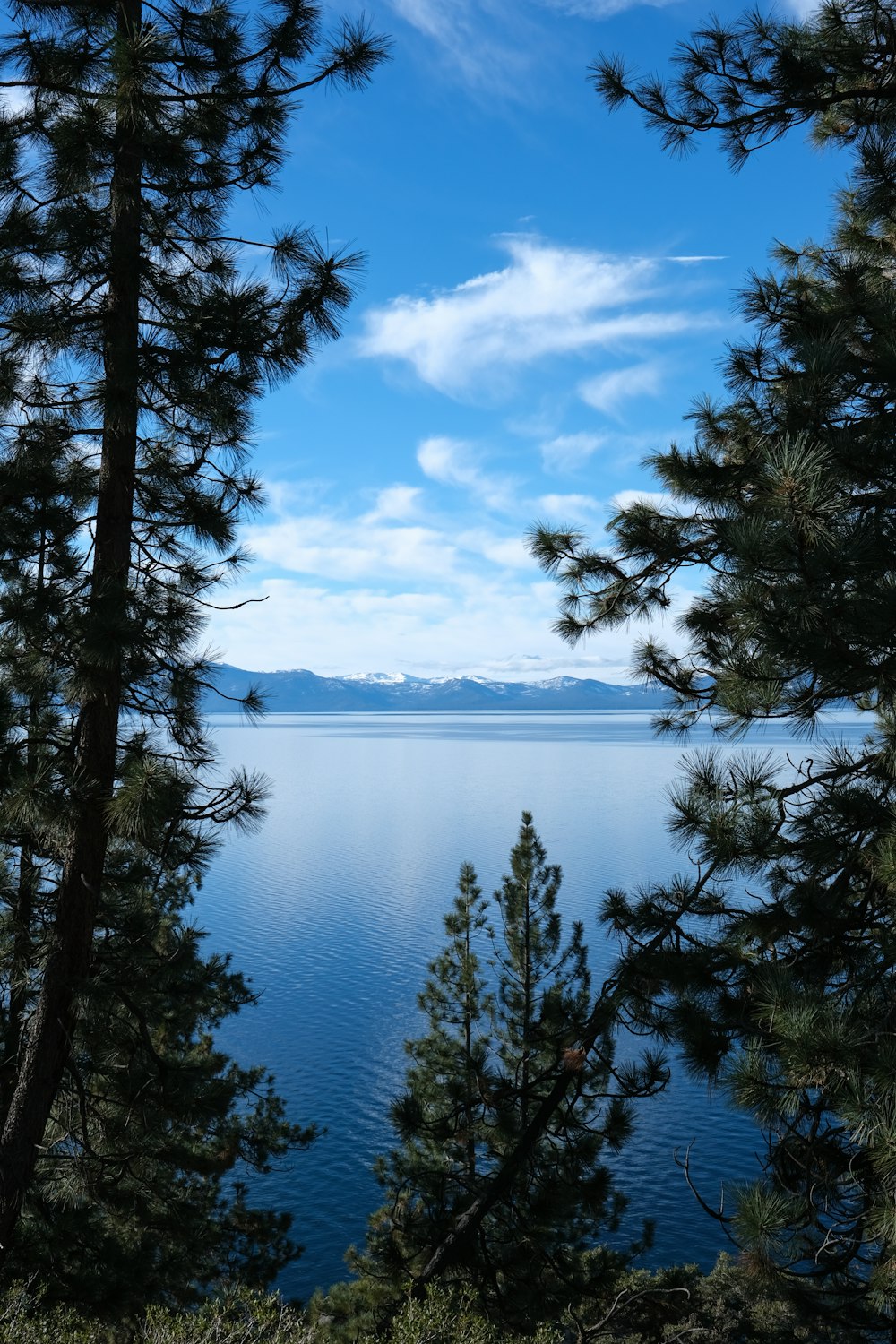 a view of a body of water through some trees