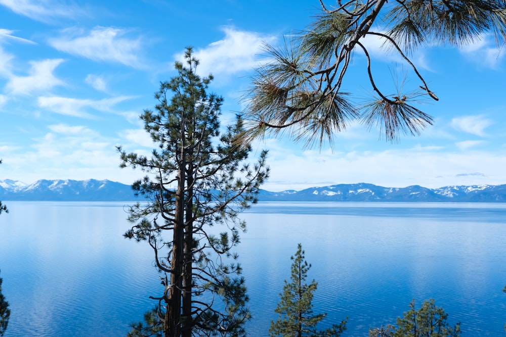 a view of a body of water with mountains in the background