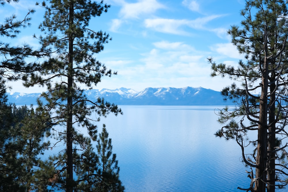 a lake surrounded by trees and mountains under a blue sky