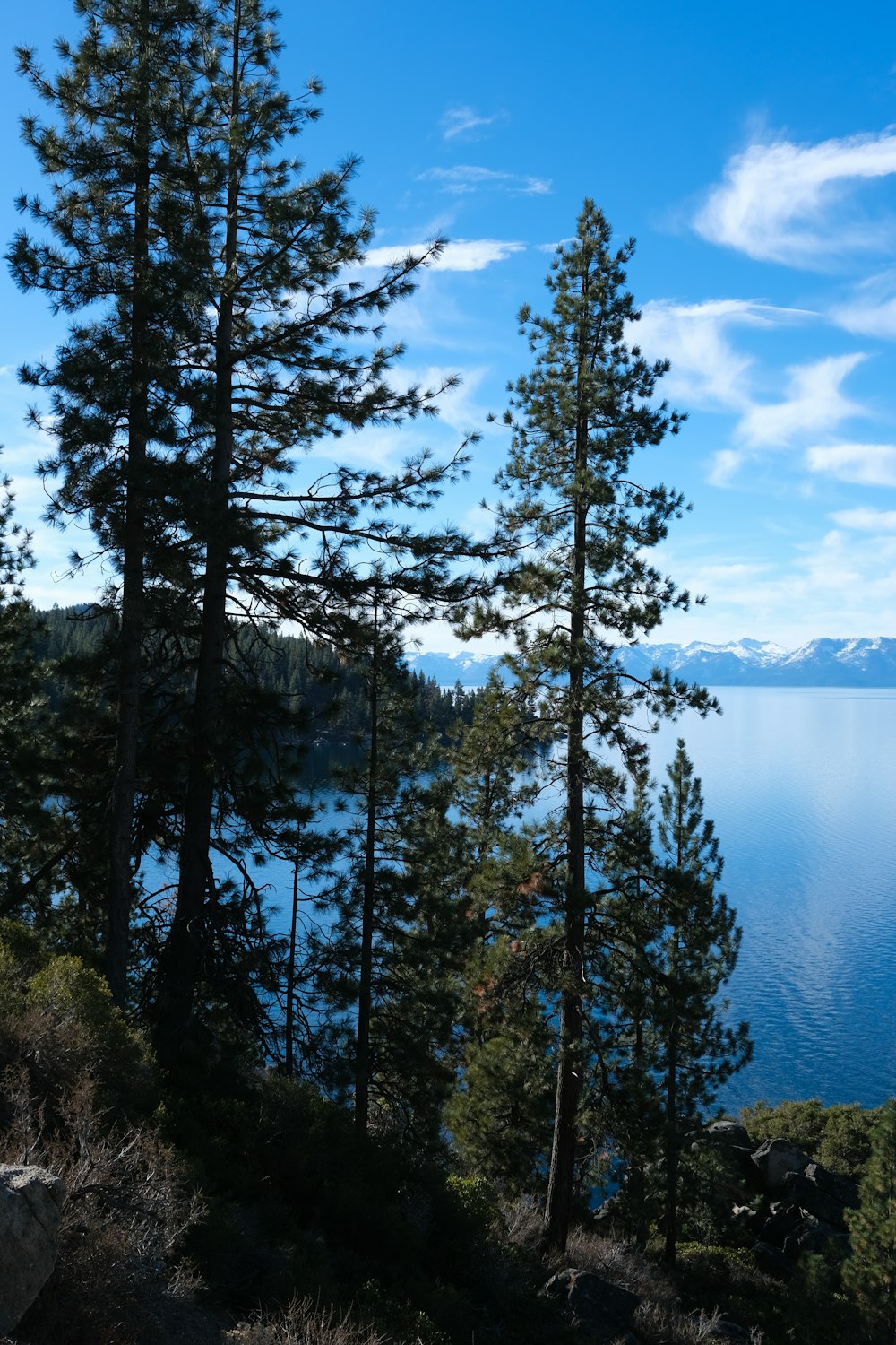 a scenic view of a lake surrounded by trees