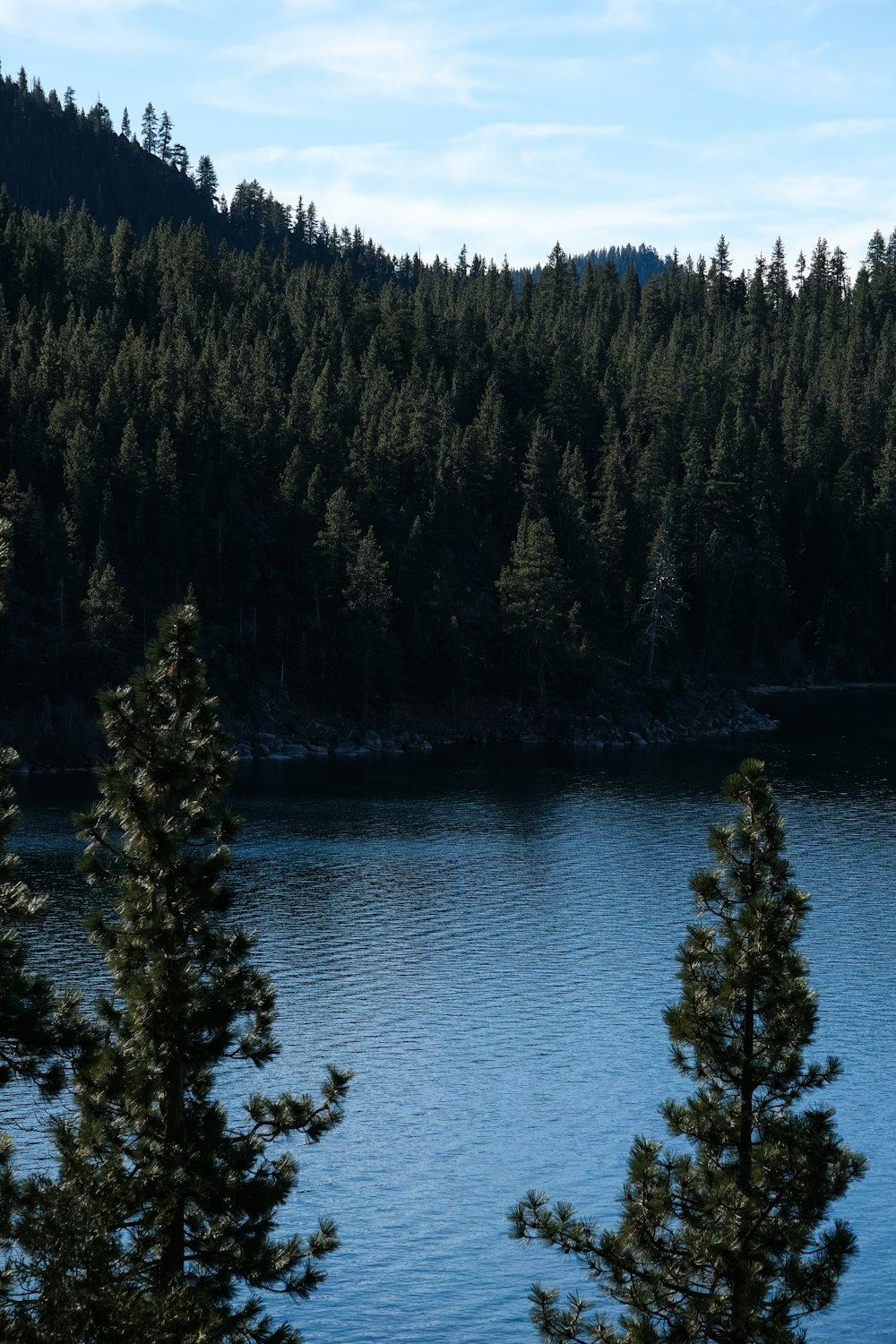 a large body of water surrounded by trees