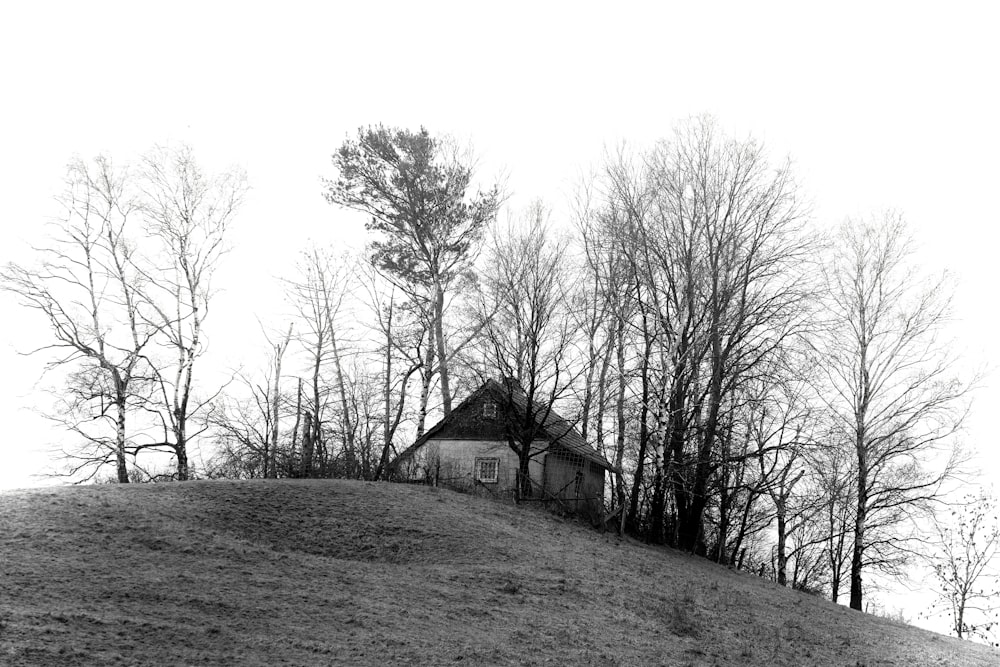 a black and white photo of a house on a hill