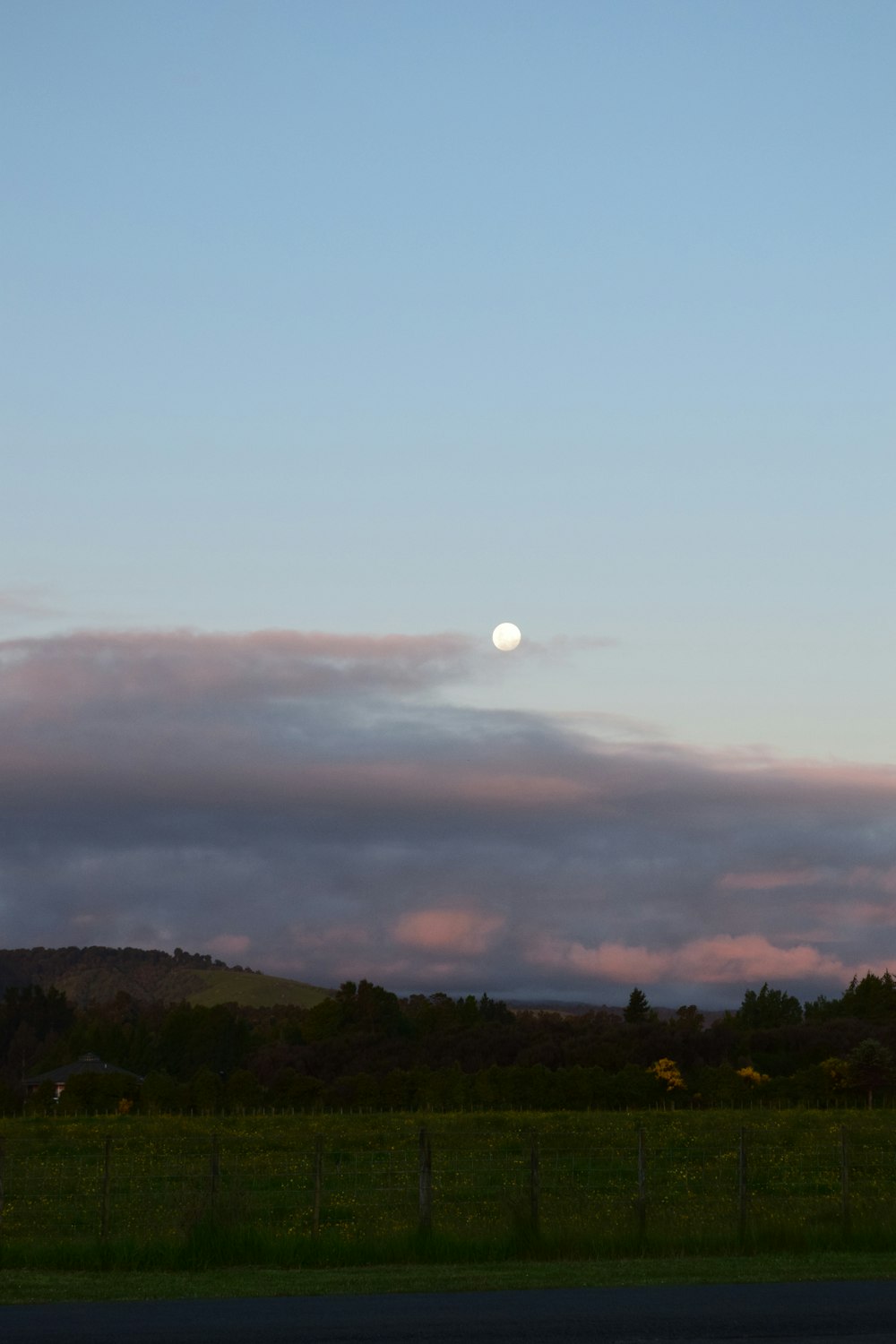 the moon is setting over a grassy field