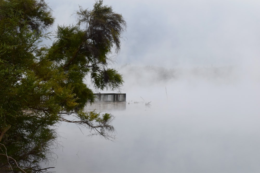 a body of water surrounded by trees and fog