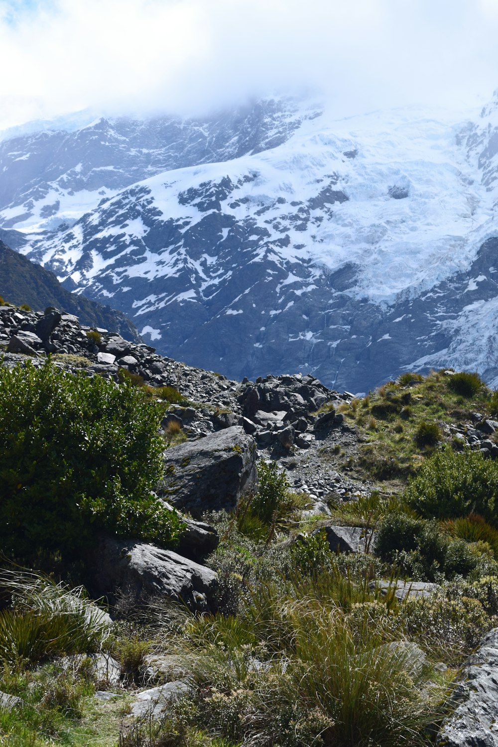 una montaña cubierta de nieve y hierba