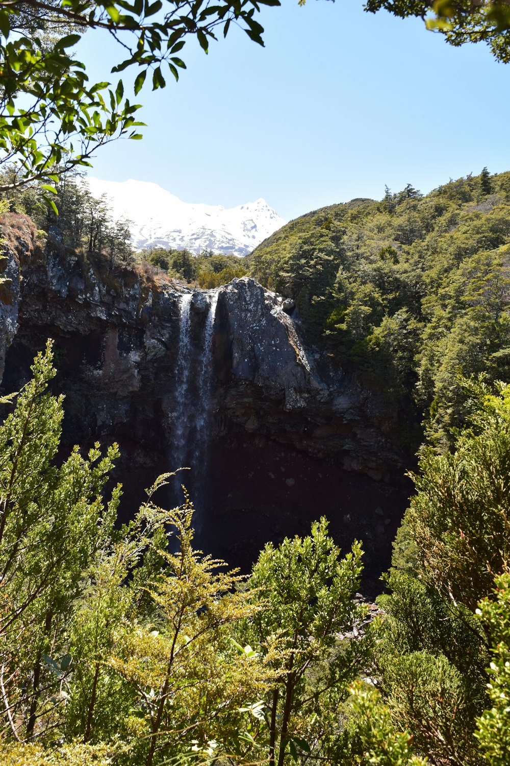 a waterfall in the middle of a forest