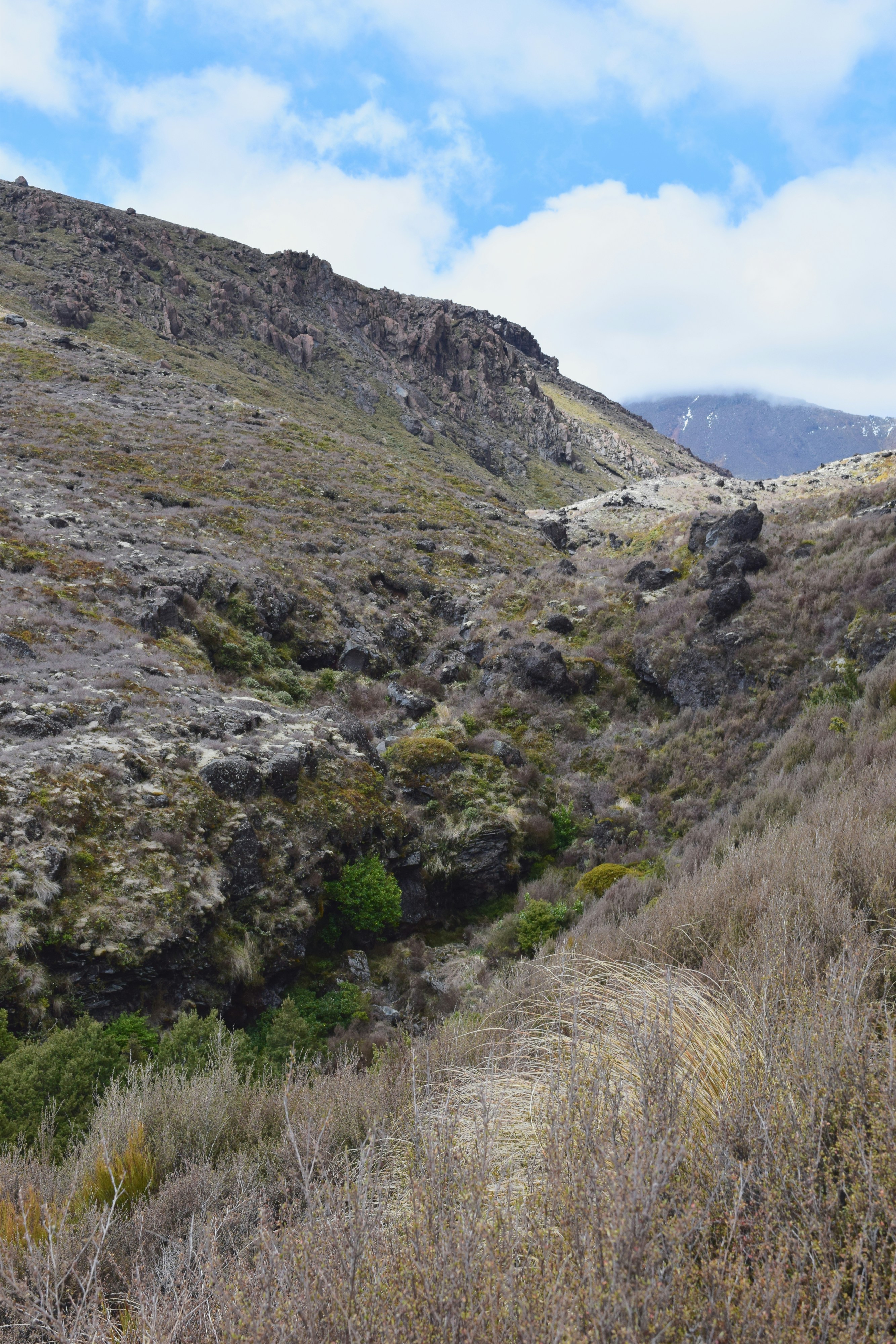 Photo by quillofspirit