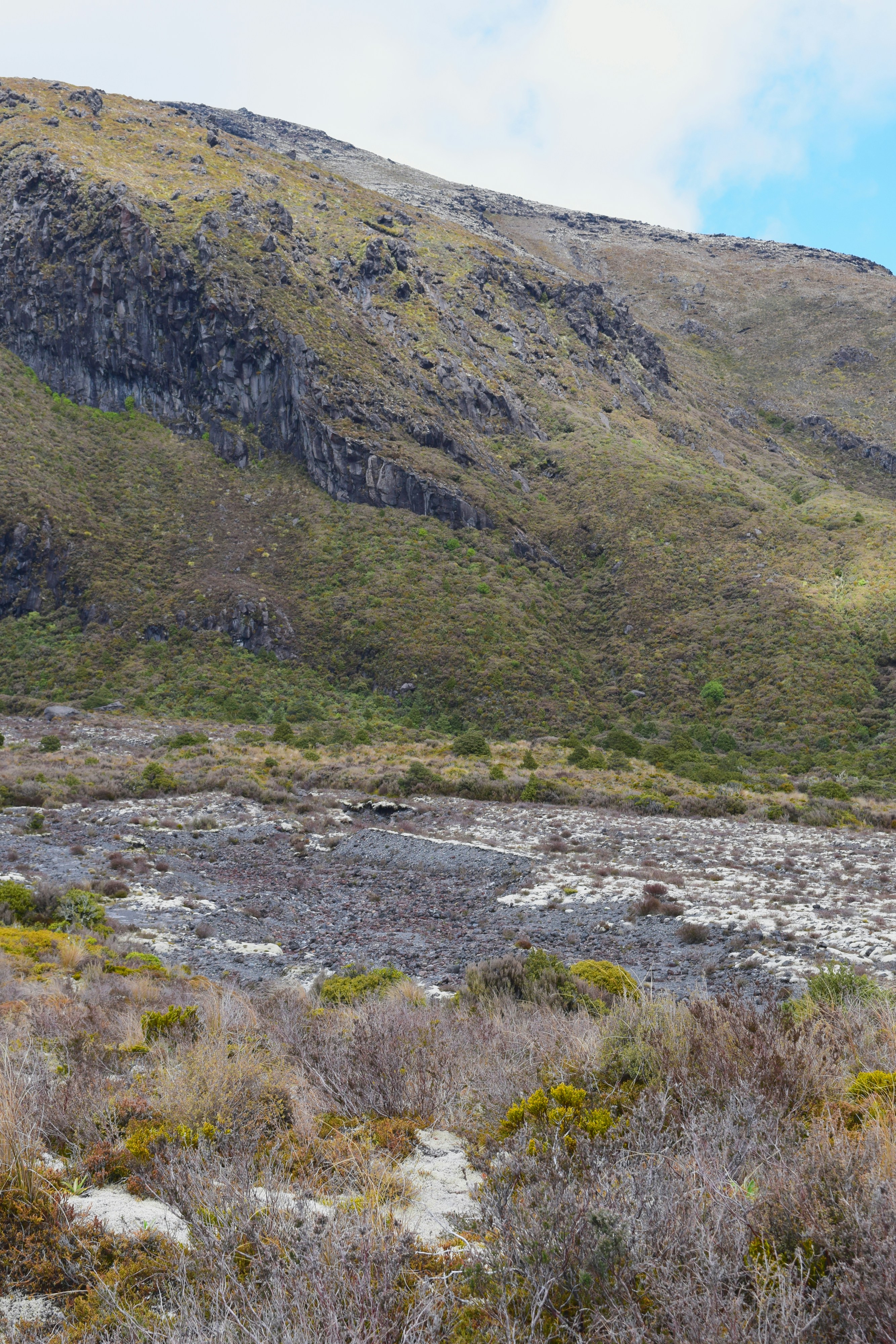 Photo by quillofspirit