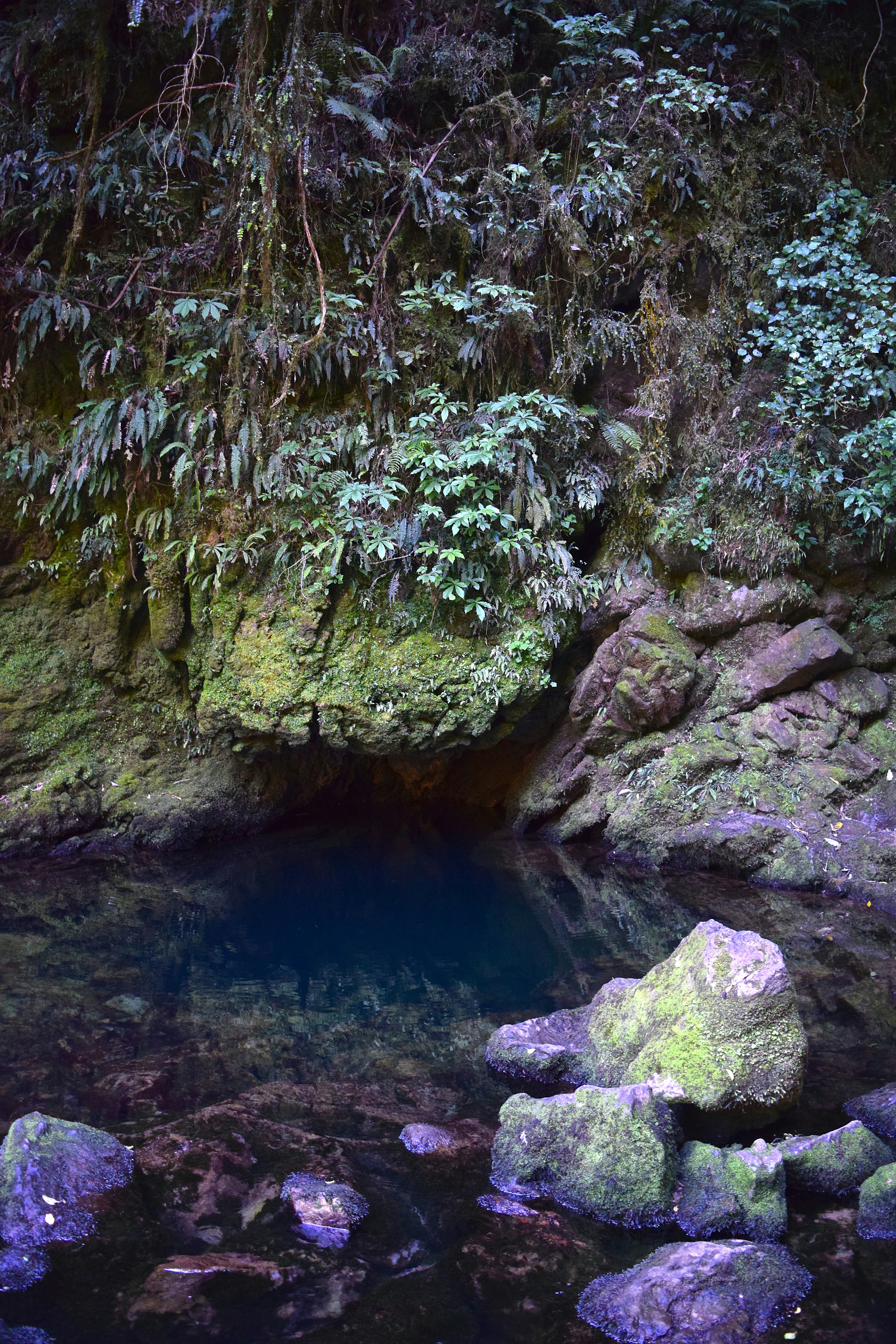 Photo by quillofspirit