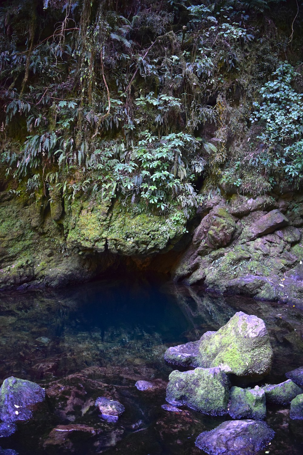 a small pool of water surrounded by rocks