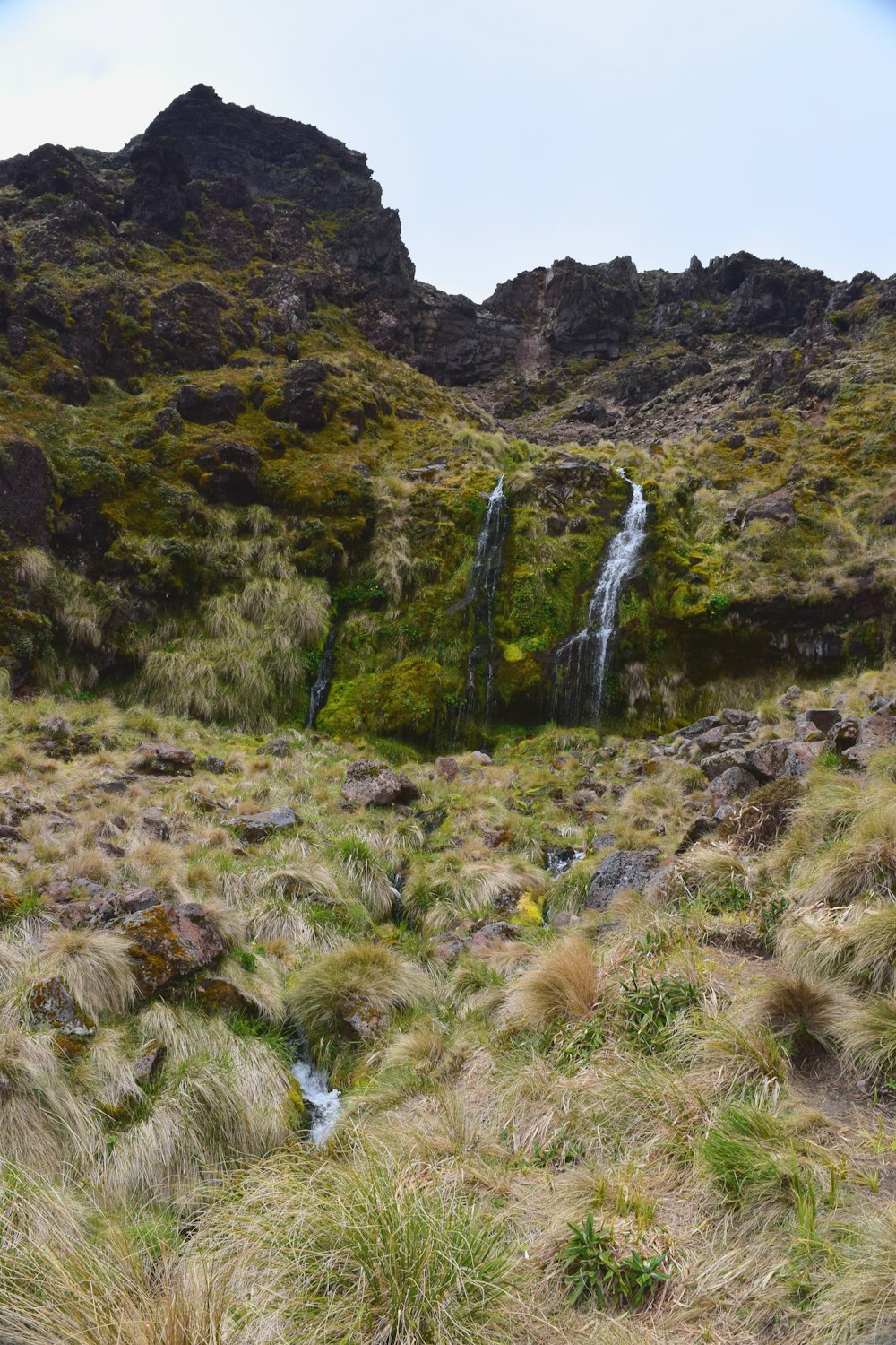 a small waterfall in the middle of a grassy area