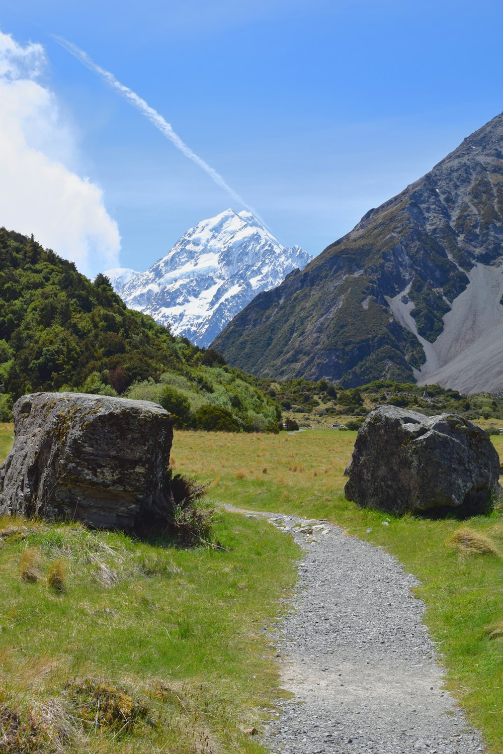 a trail winds through a grassy valley with mountains in the background