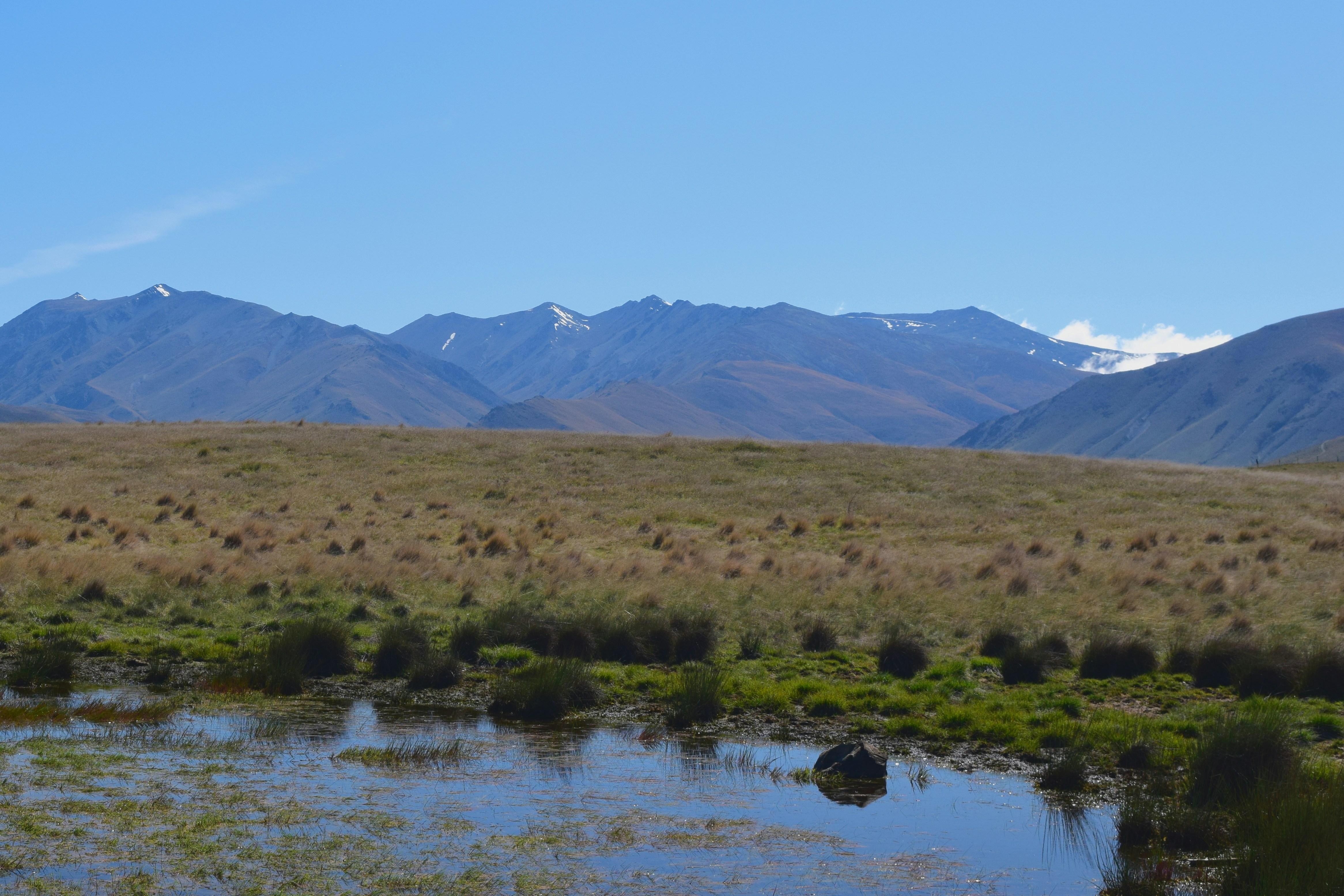 Photo by quillofspirit