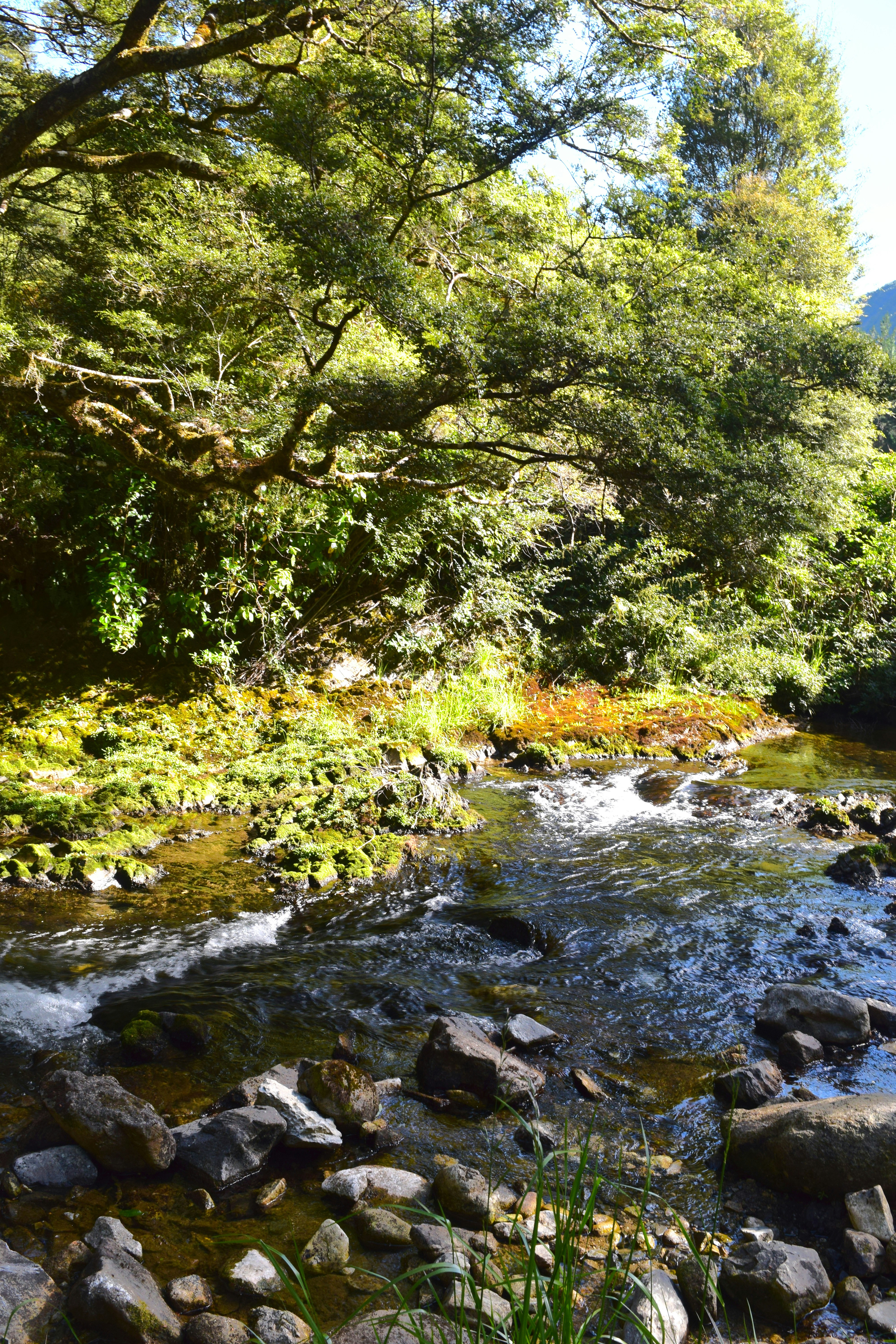 Photo by quillofspirit