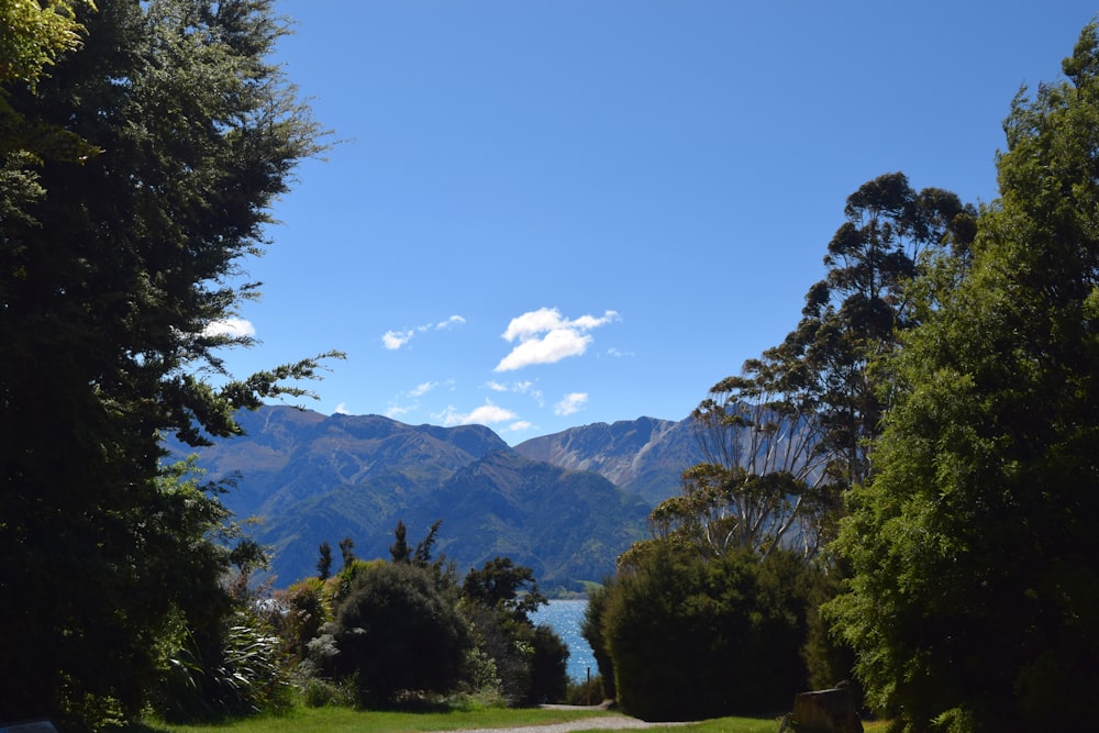 a scenic view of the mountains and a lake