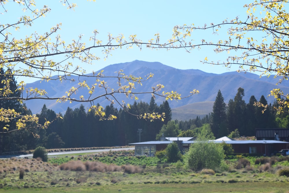 a view of a mountain range with a house in the foreground