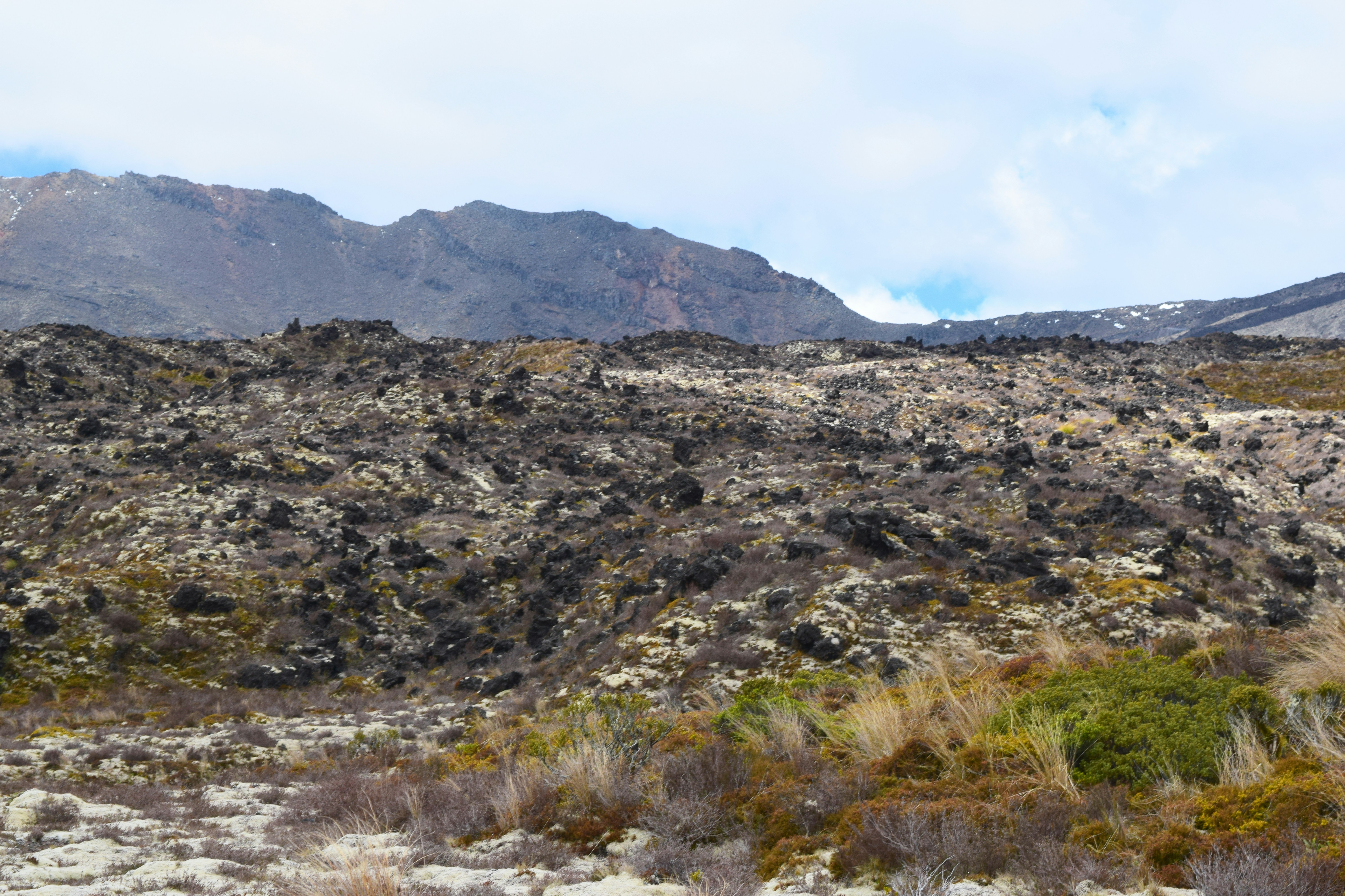 a mountain range with sparse vegetation and mountains in the background