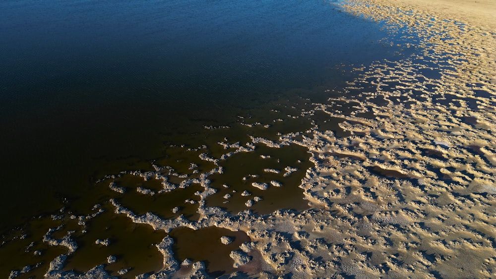 a body of water surrounded by snow covered ground