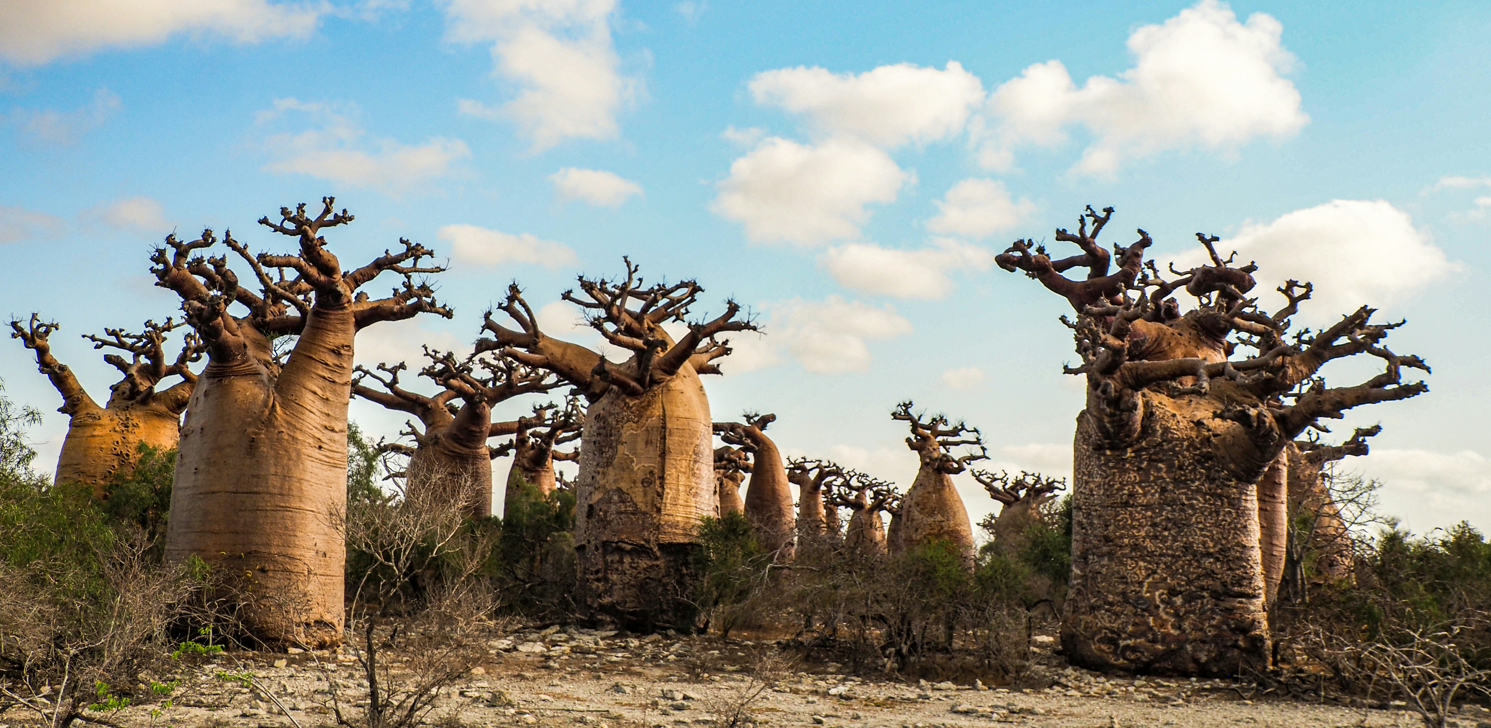 Photo by lderksen