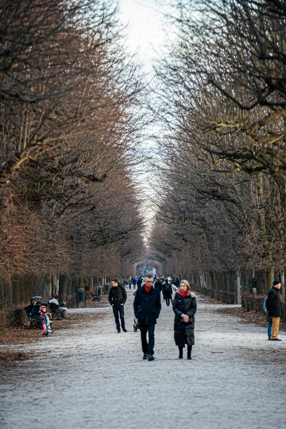 a group of people walking down a street lined with trees